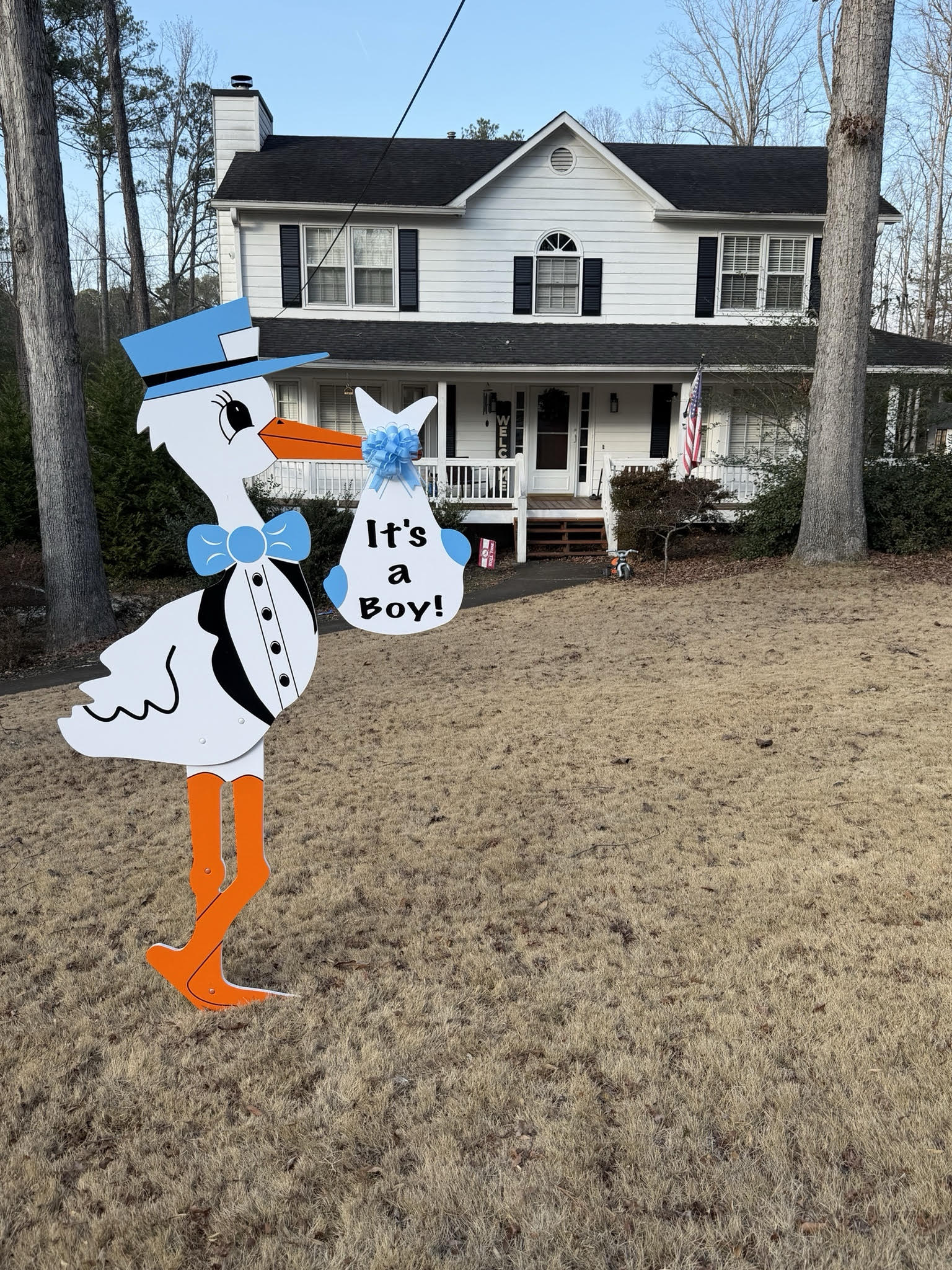 Birth Announcement Stork Sign in Woodstock, GA