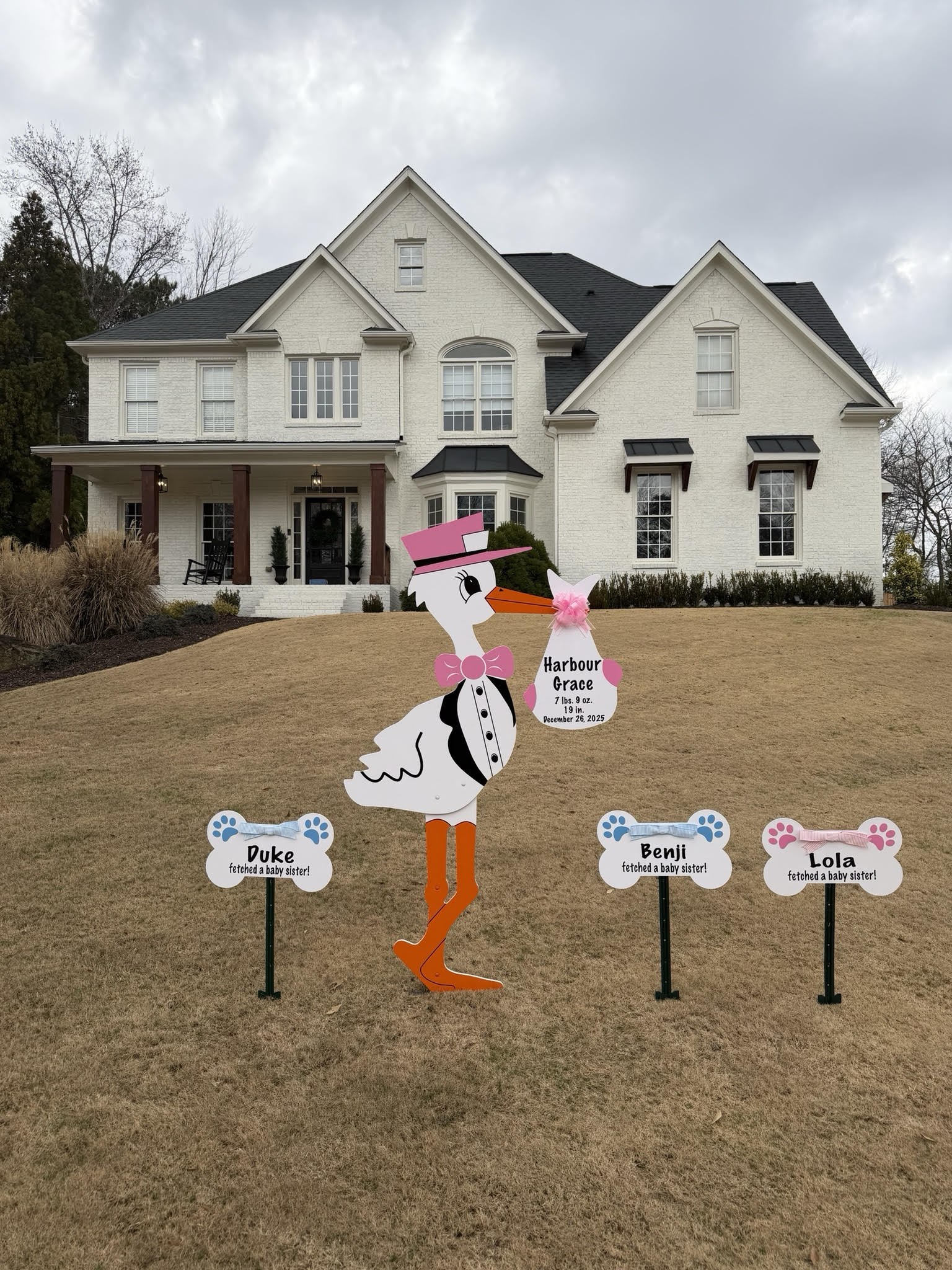 Birth Announcement Stork Sign in Cumming, GA