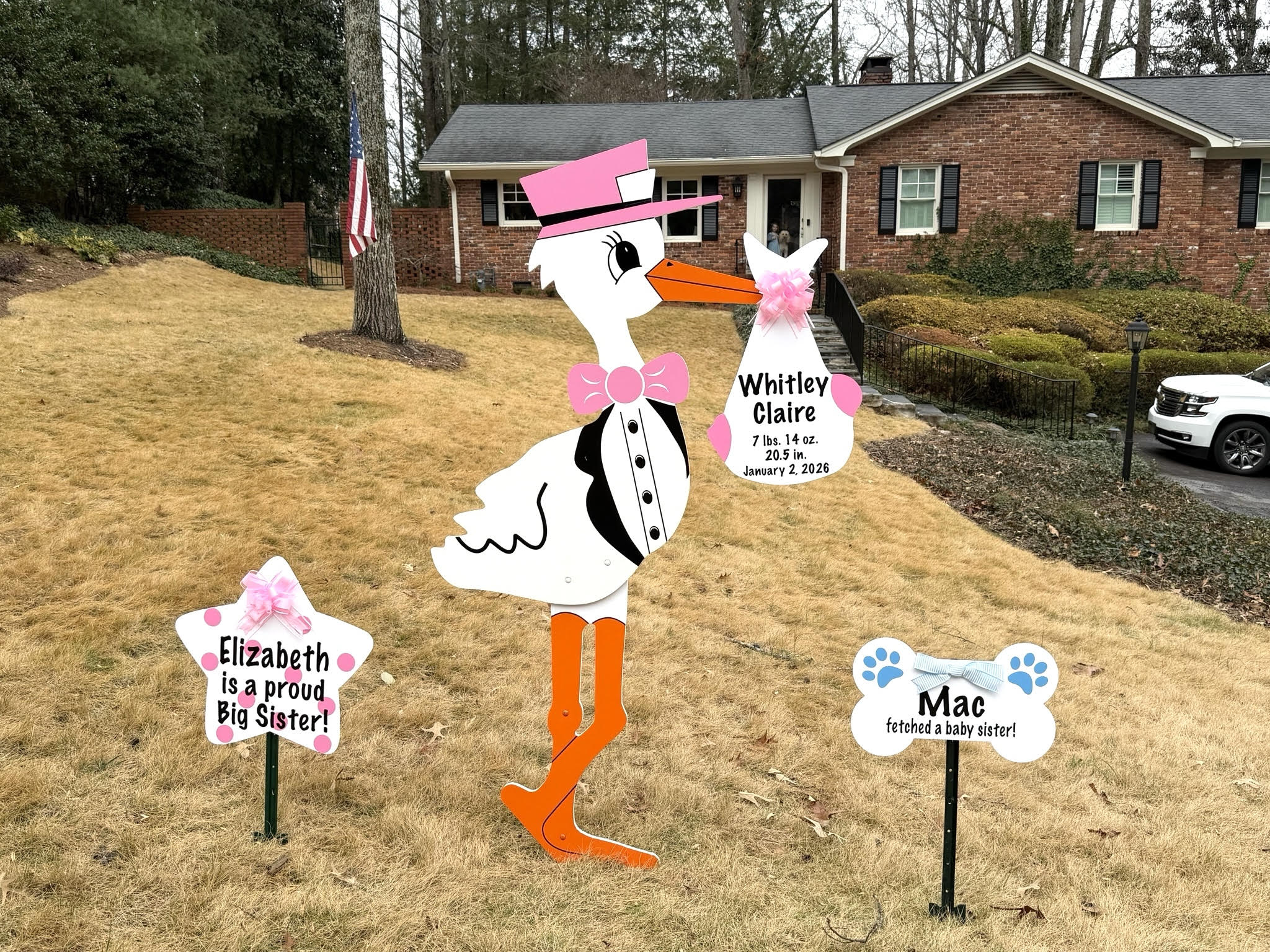 Birth Announcement Stork Sign in Marietta, GA