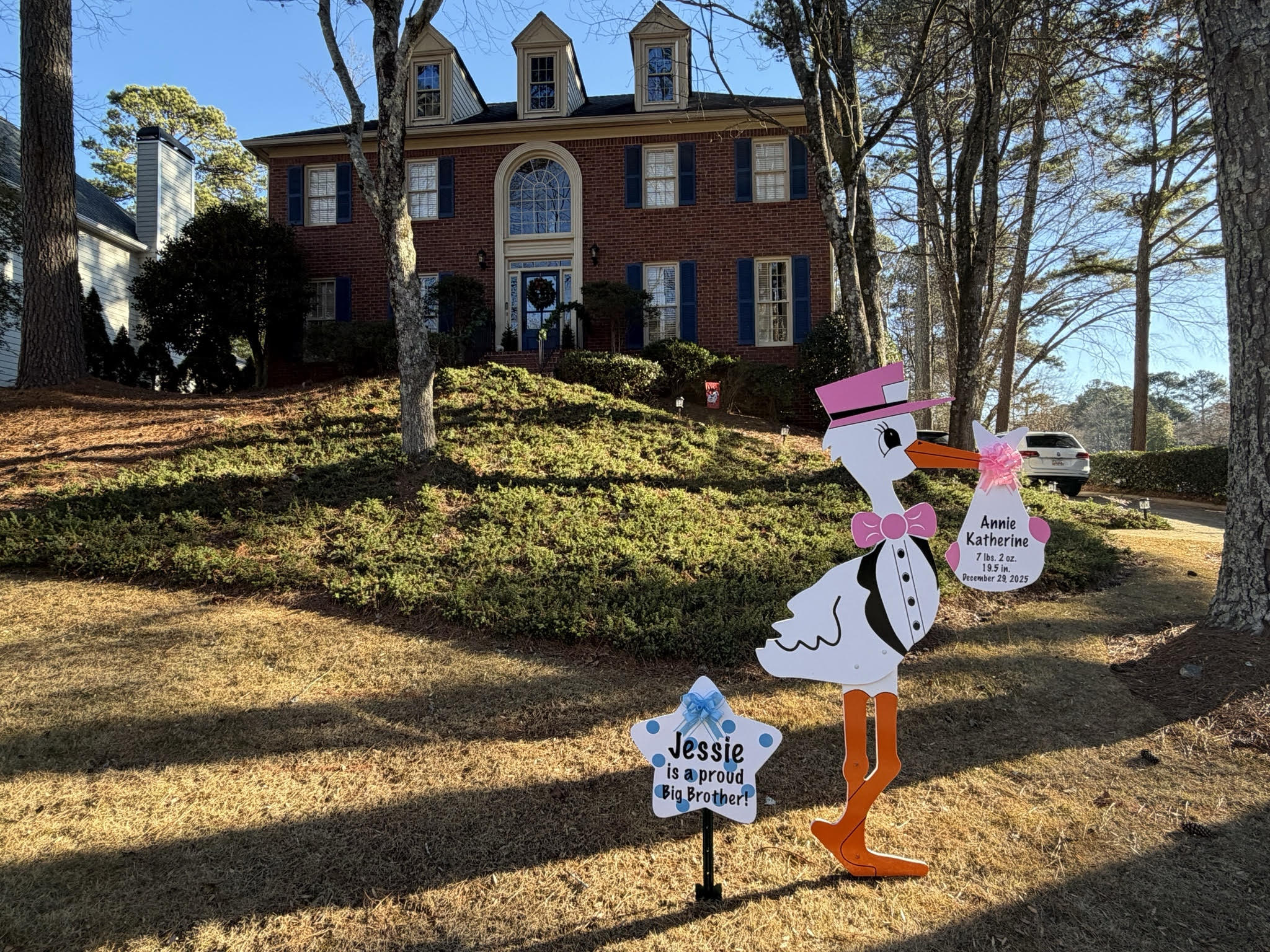 Birth Announcement Stork Sign in Roswell, GA