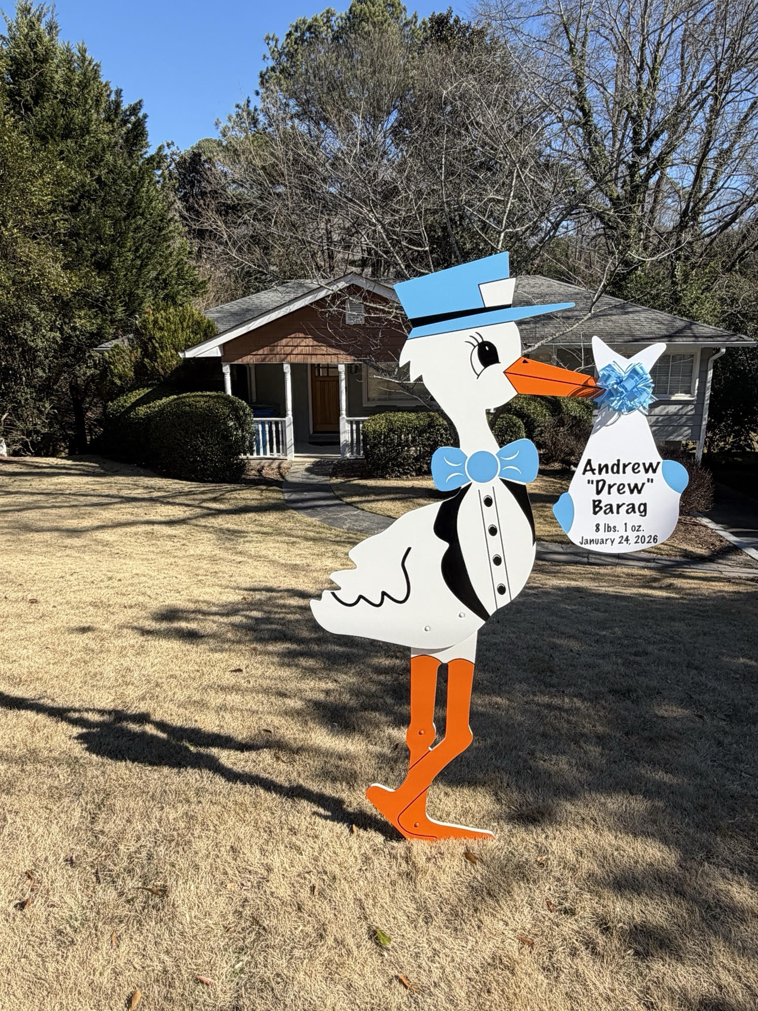 Birth Announcement Stork Sign in Buckhead, Atlanta, GA