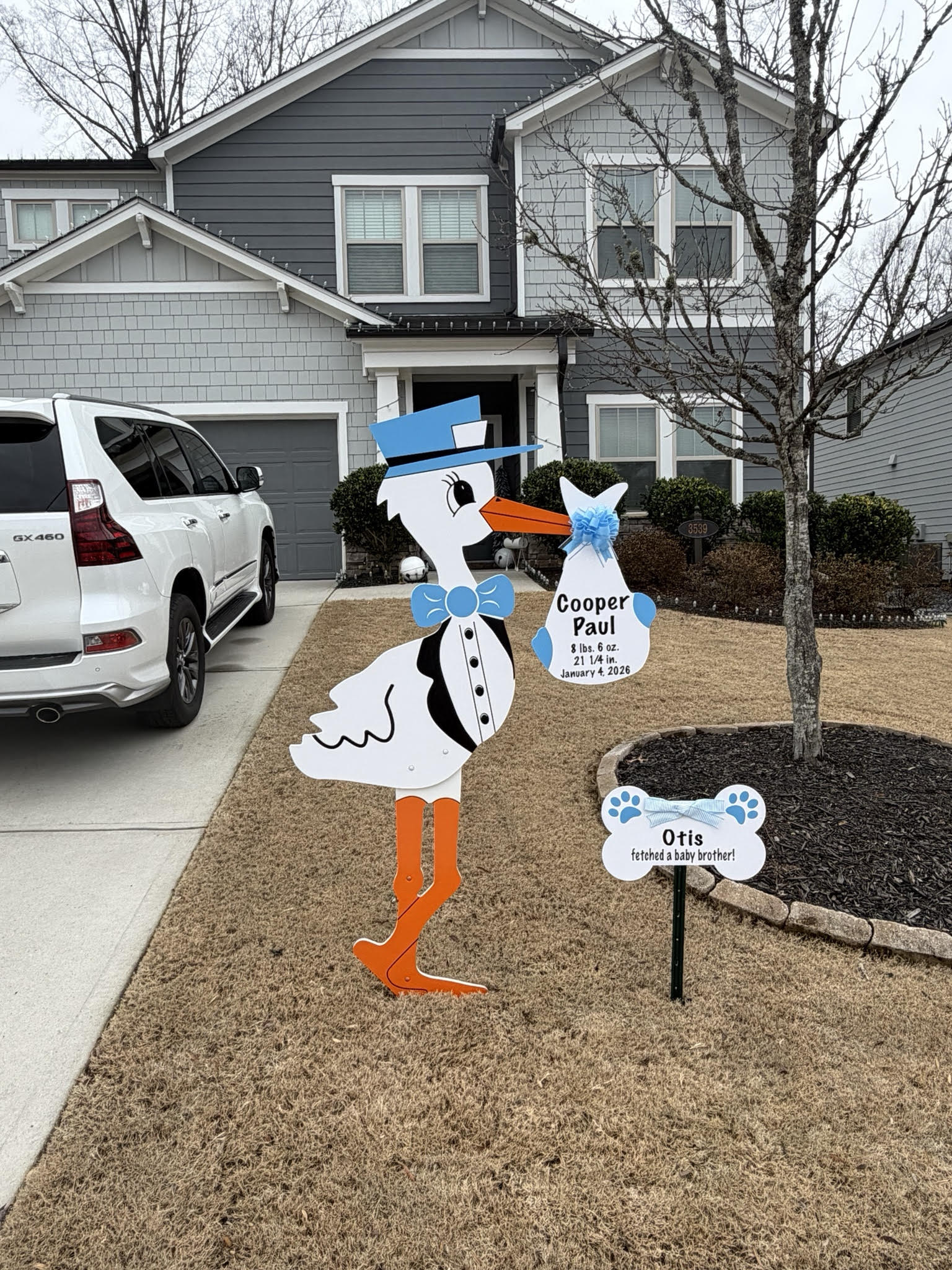 Birth Announcement Stork Sign in Marietta, GA