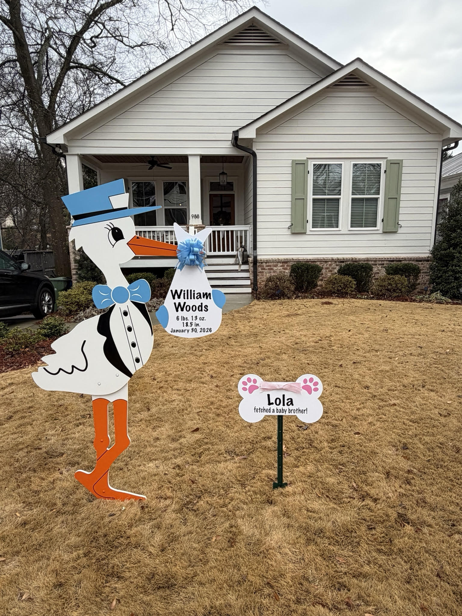 Birth Announcement Stork Sign in Midtown Atlanta, GA