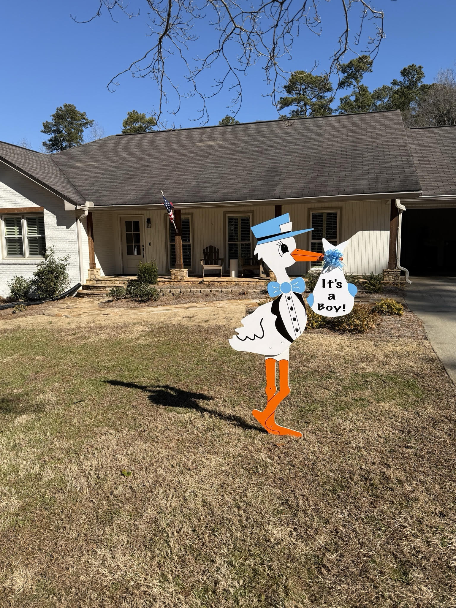 Birth Announcement Stork Sign in Roswell, GA