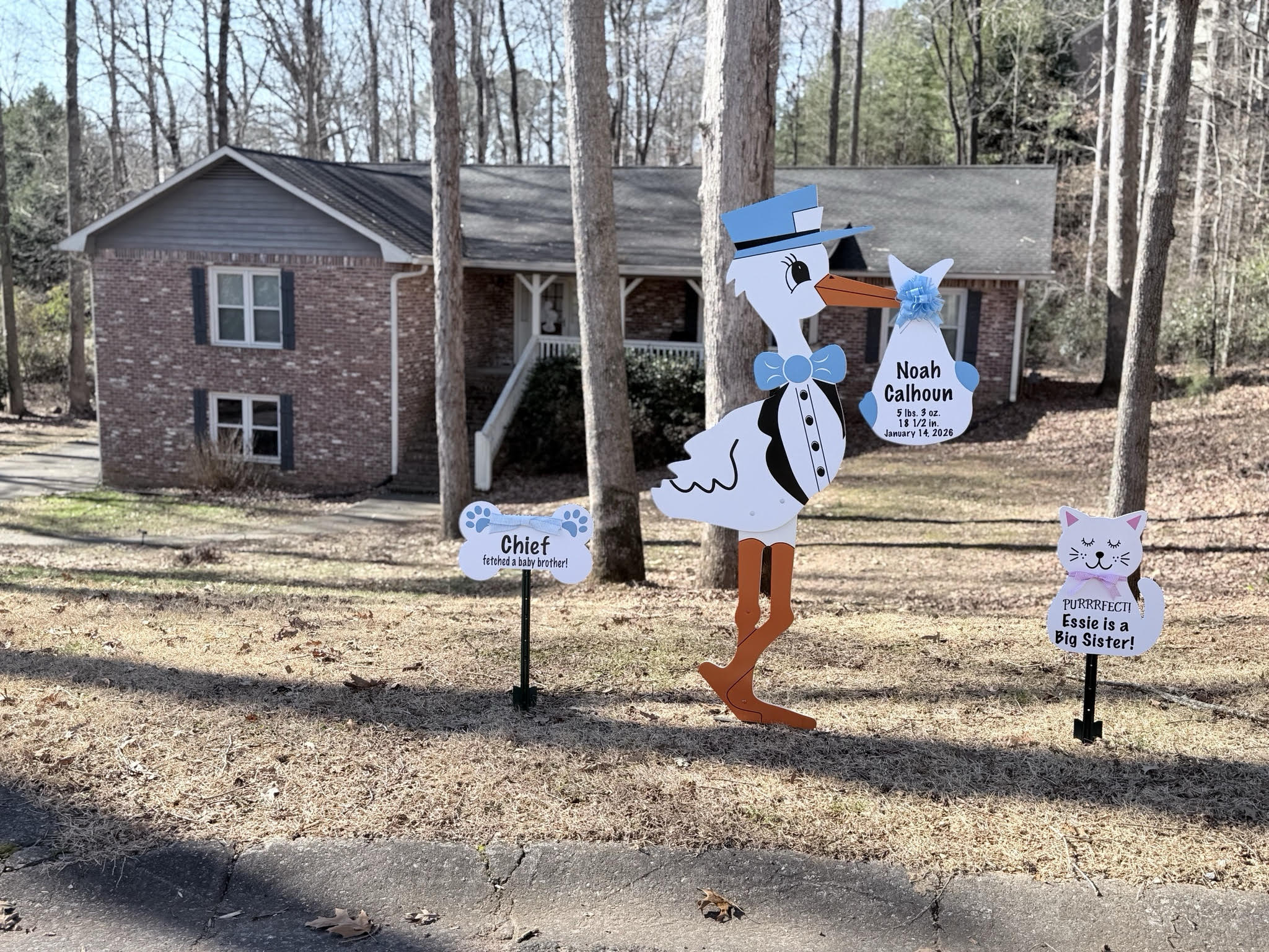 Birth Announcement Stork Sign in Roswell, GA