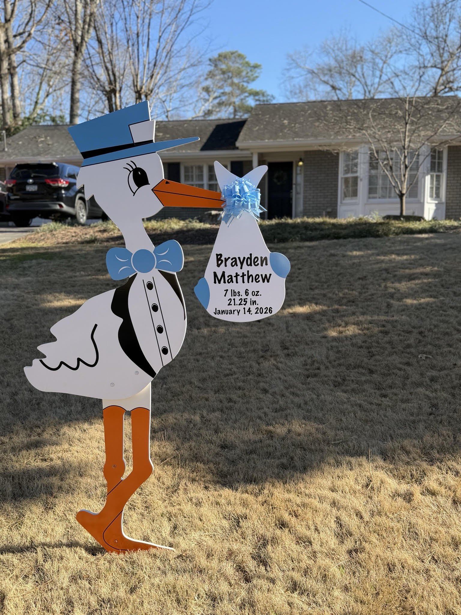 Birth Announcement Stork Sign in Sandy Springs, GA