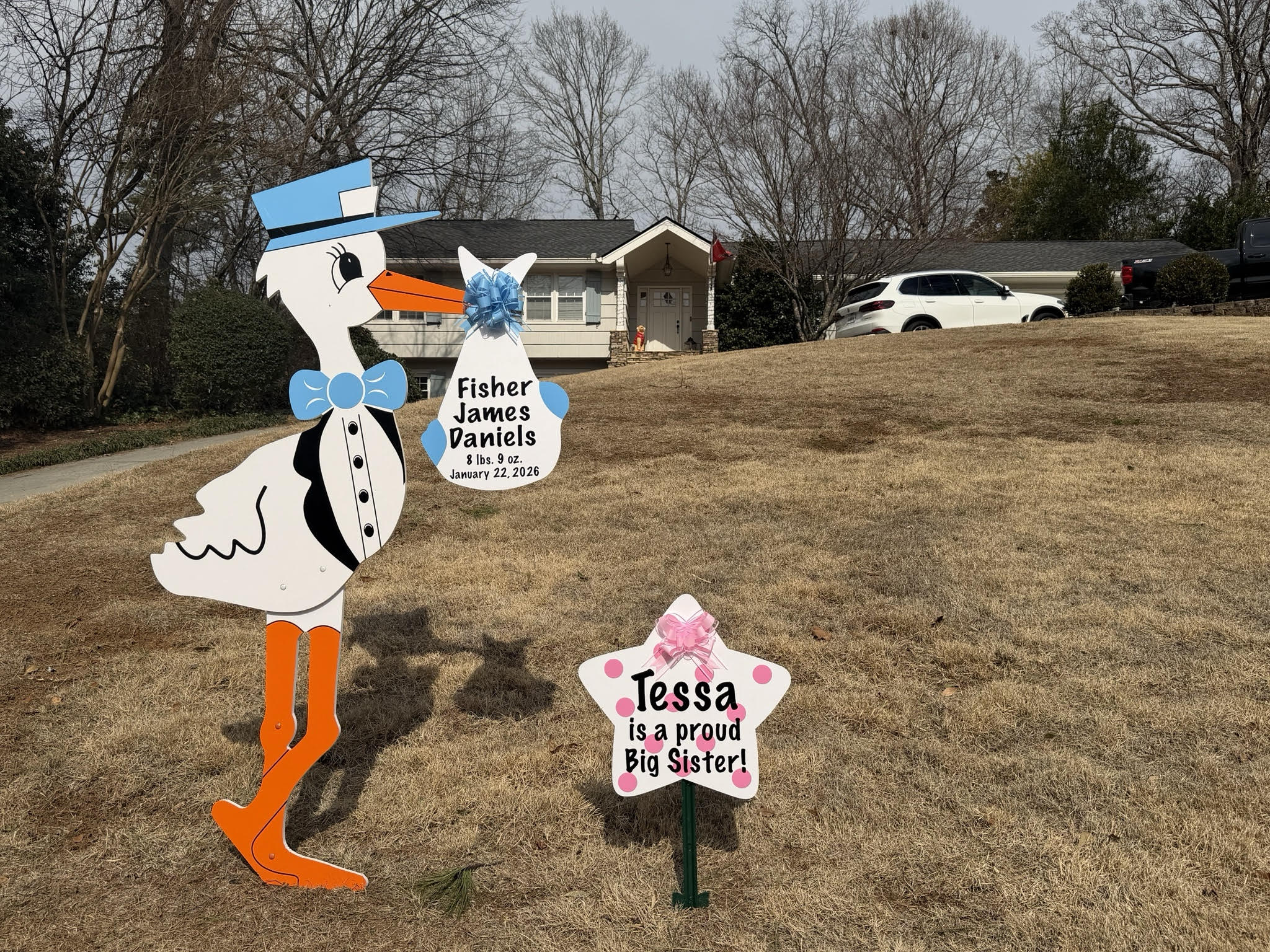 Birth Announcement Stork Sign in Sandy Springs, GA