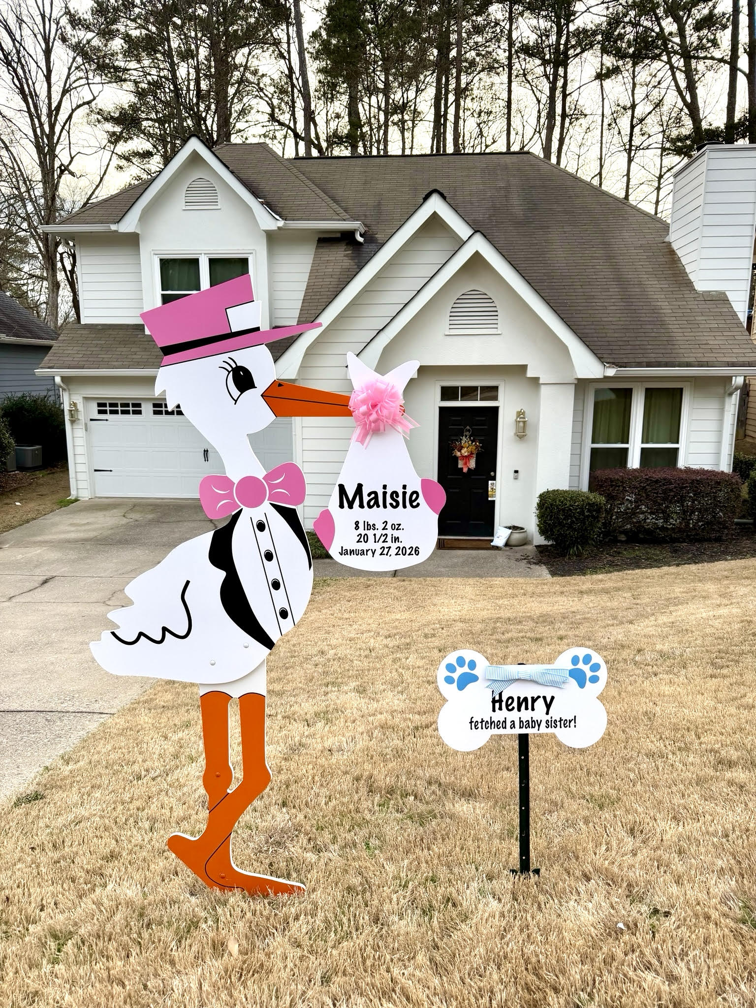 Birth Announcement Stork Sign in Alpharetta, GA