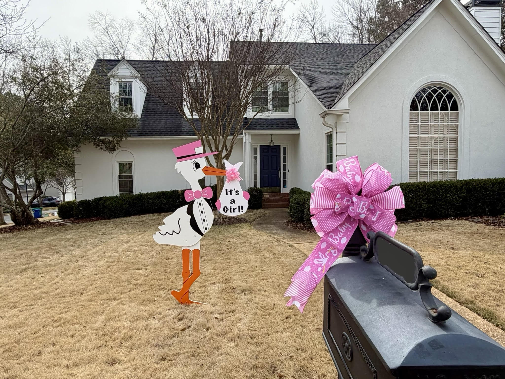 Birth Announcement Stork Sign in Brookhaven, GA