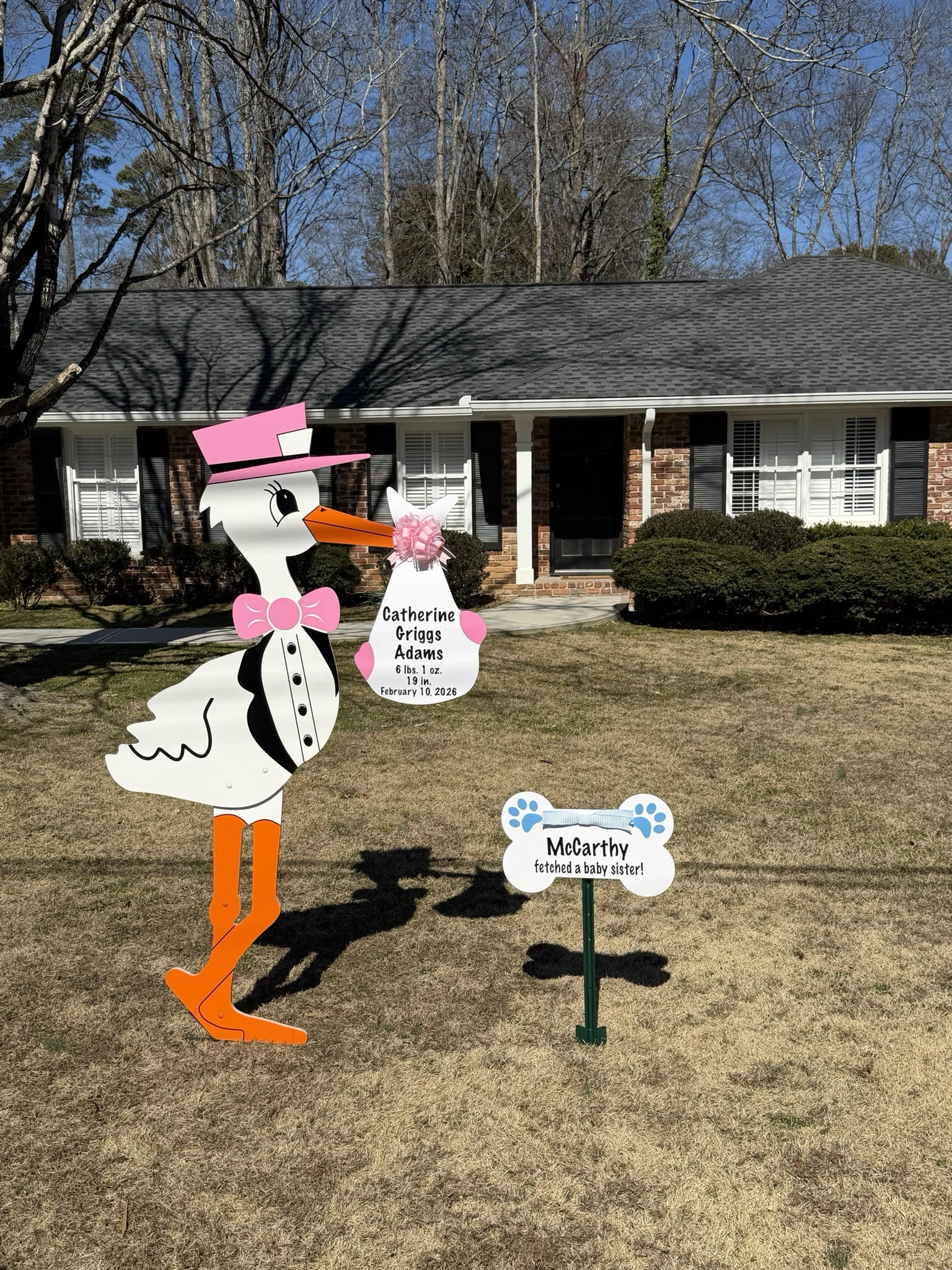 Birth Announcement Stork Sign in Buckhead, Atlanta