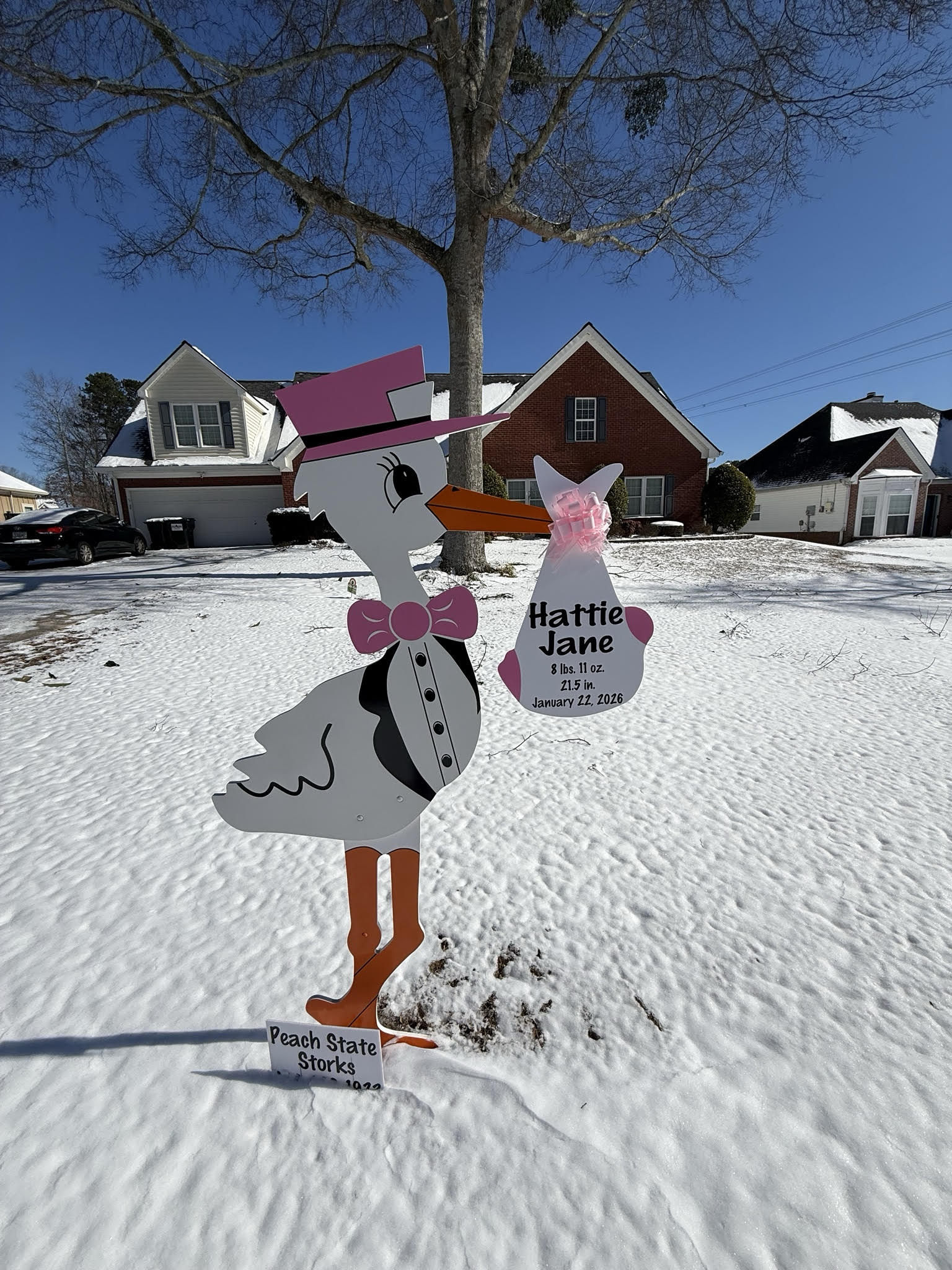 Birth Announcement Stork Sign in Buford, GA