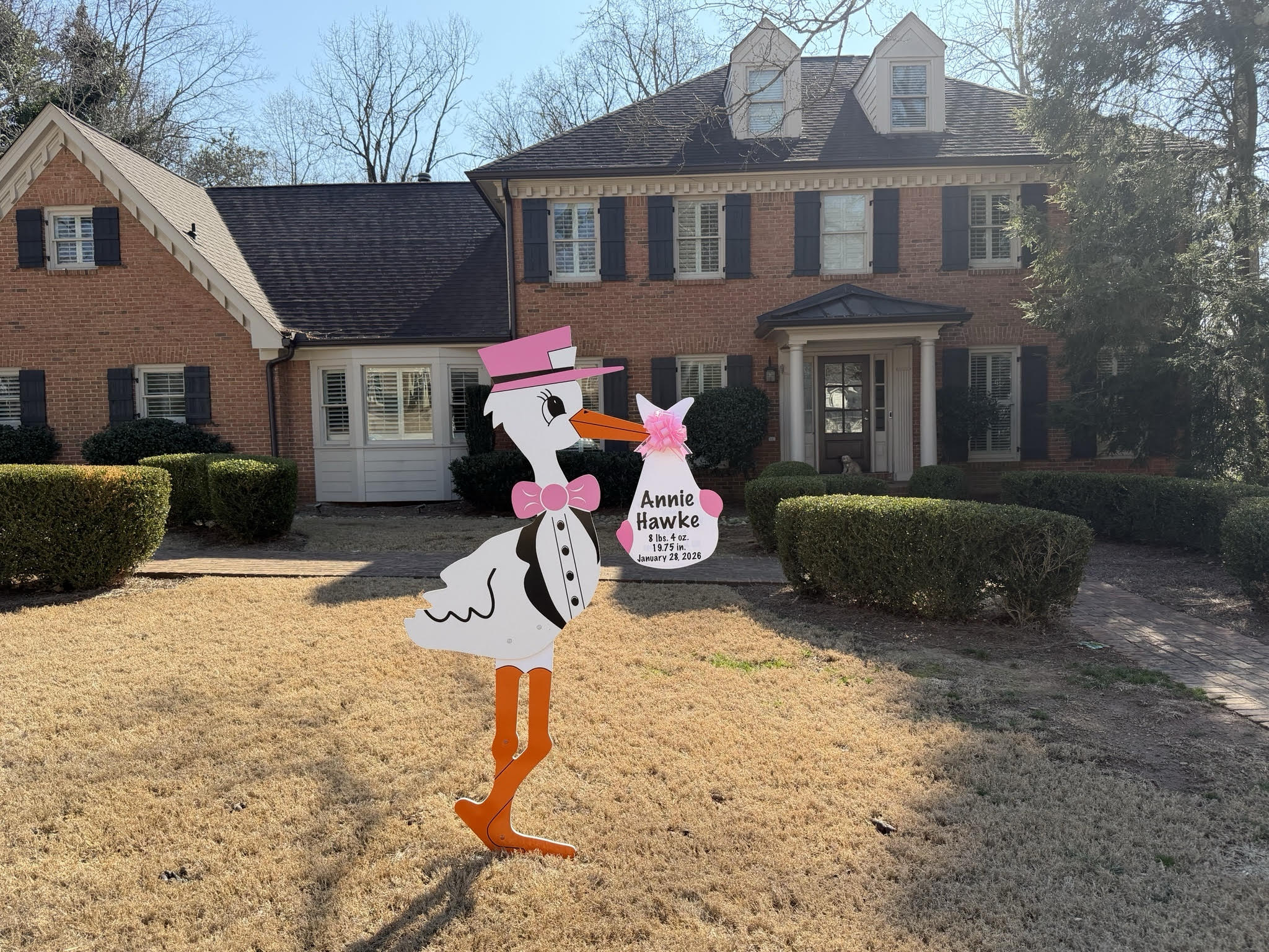 Birth Announcement Stork Sign in Dunwoody, GA