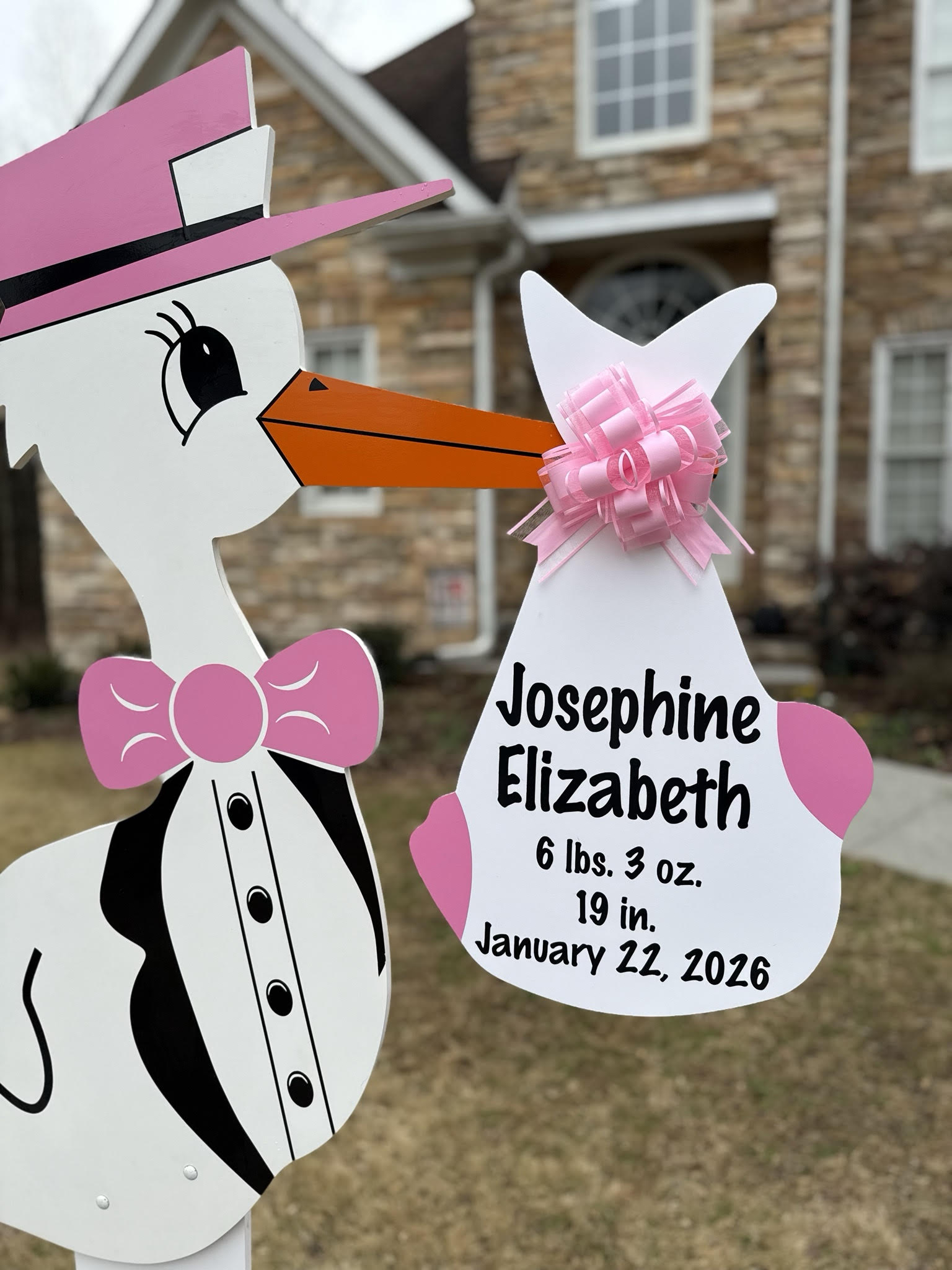 Birth Announcement Stork Sign in Loganville, GA