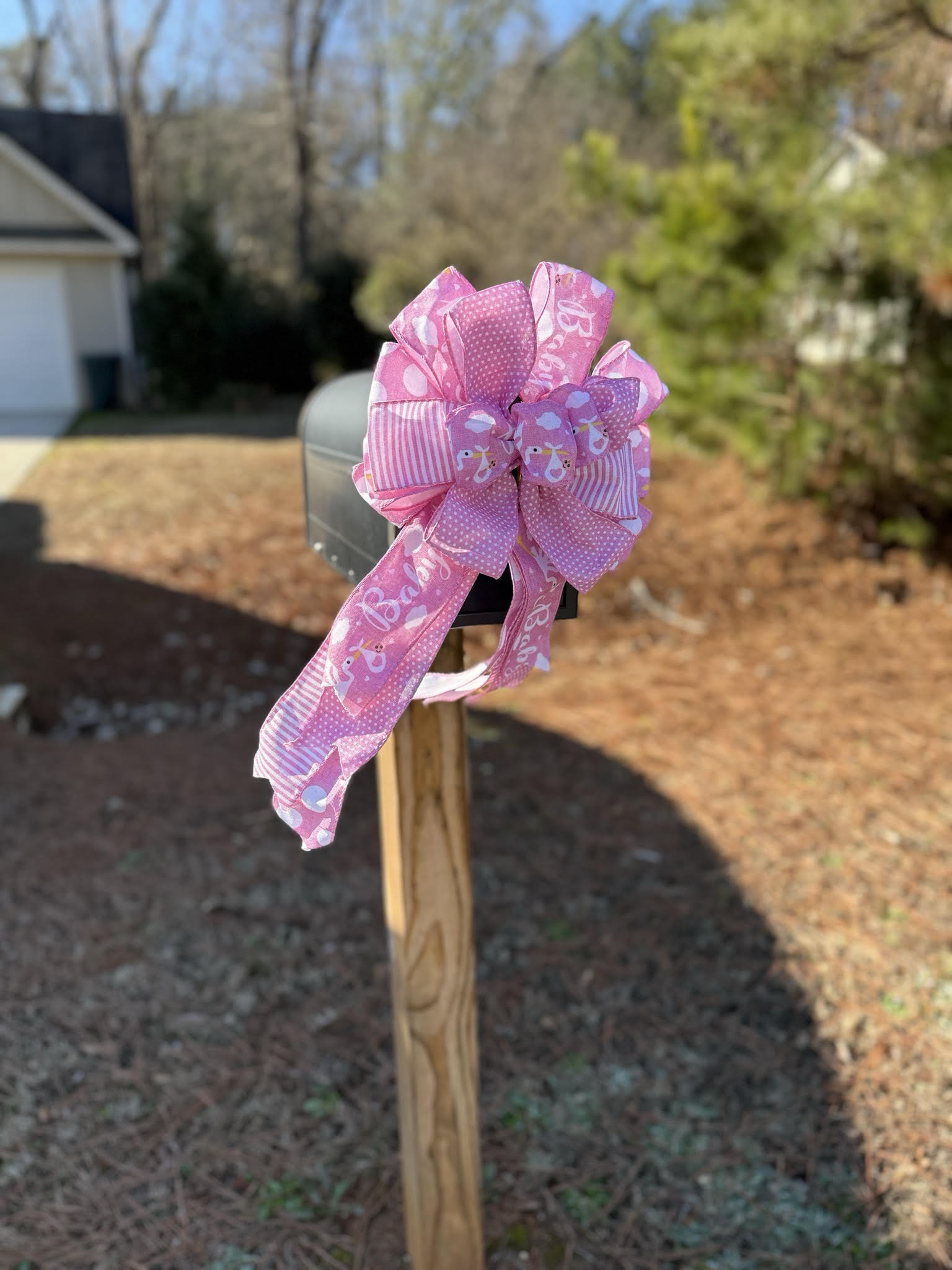 Birth Announcement Stork Sign in Madison, GA