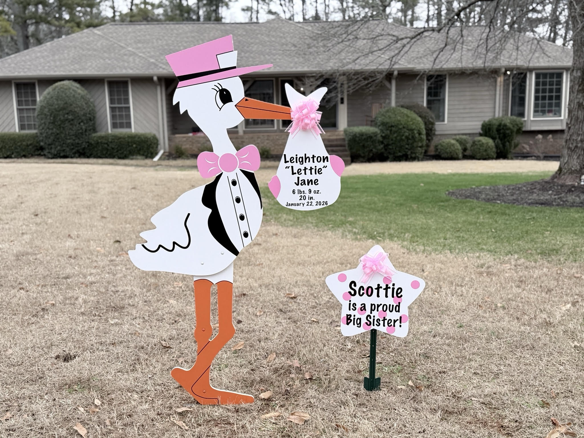 Birth Announcement Stork Sign in Marietta, GA