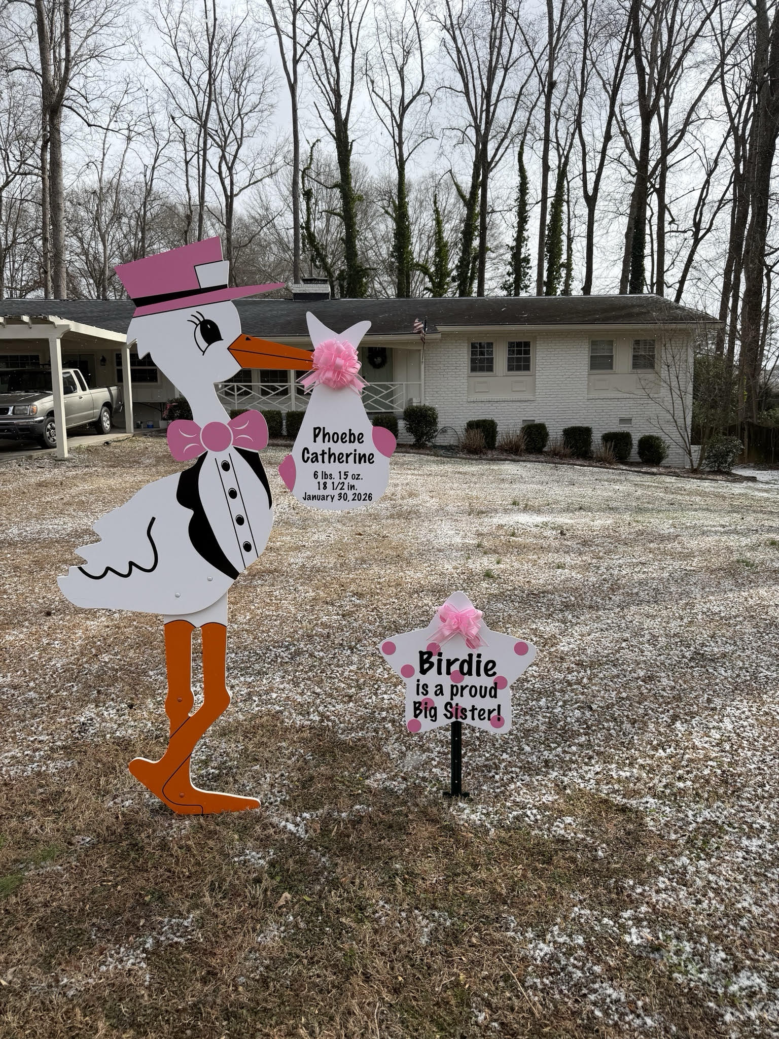 Birth Announcement Stork Sign in Smyrna, GA