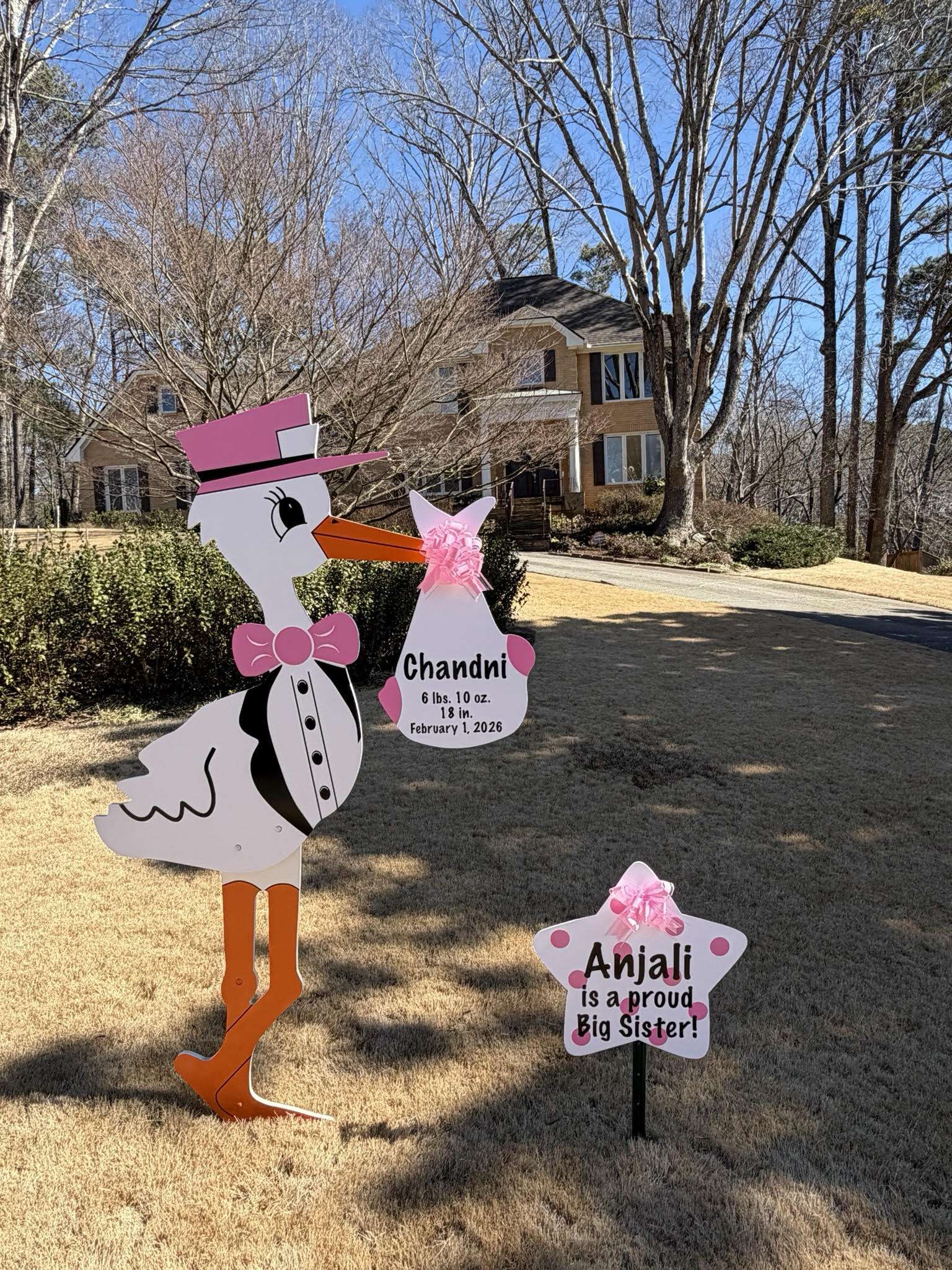 Birth Announcement Stork Sign in Stone Mountain, GA
