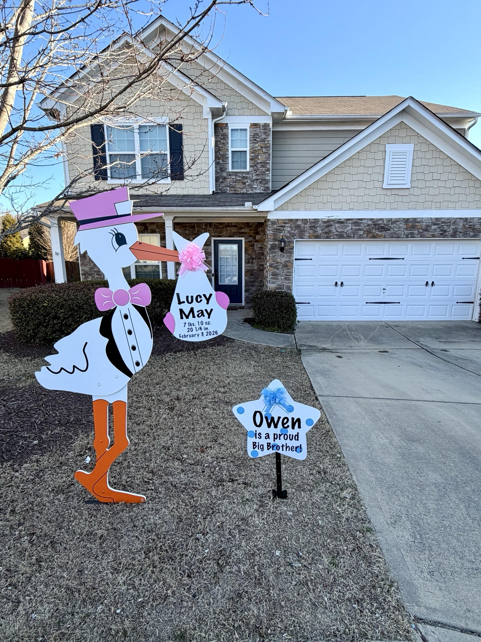 Birth Announcement Stork Sign in Sugar Hill, GA