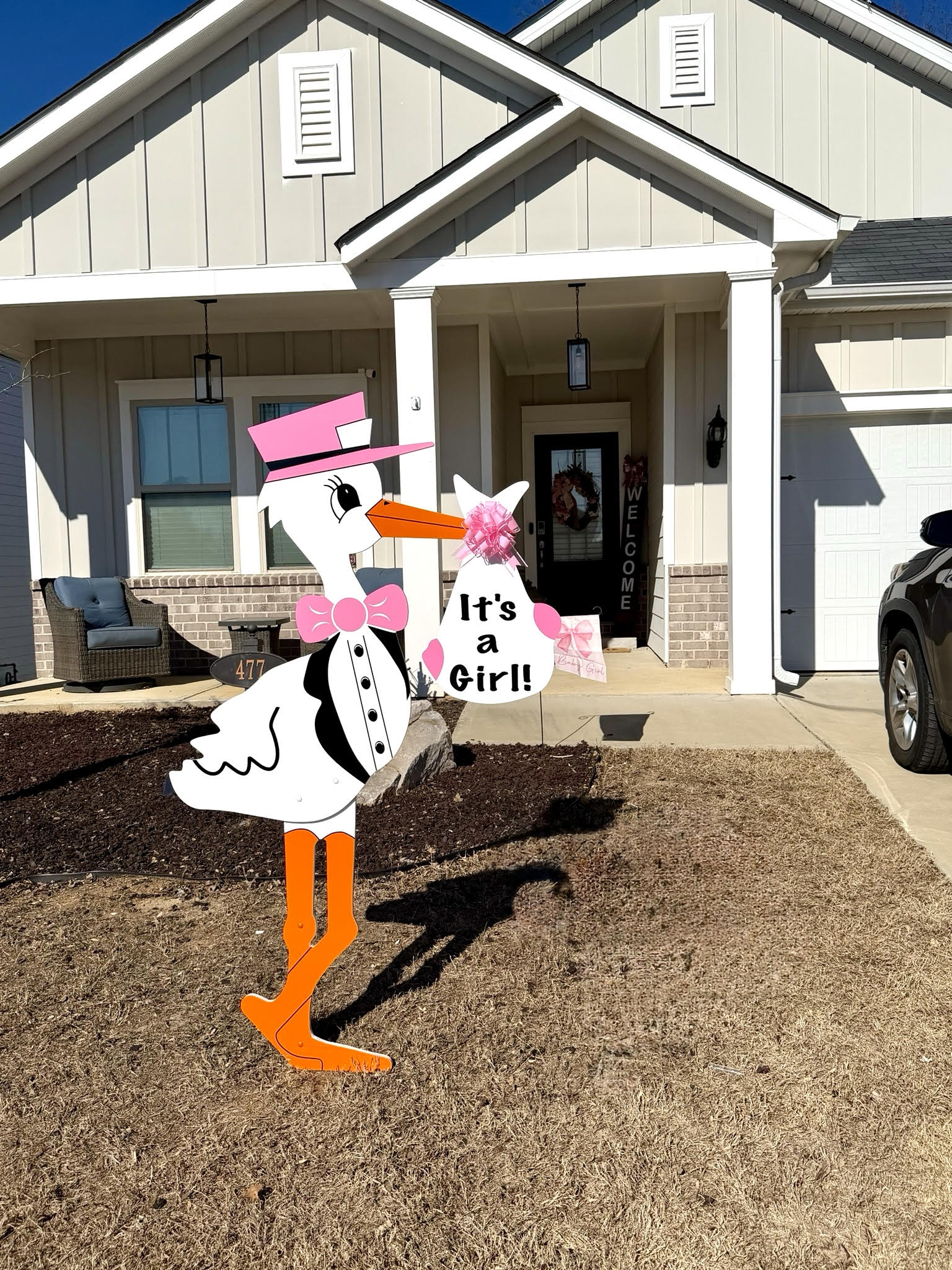 Birth Announcement Stork Sign in Woodstock, GA