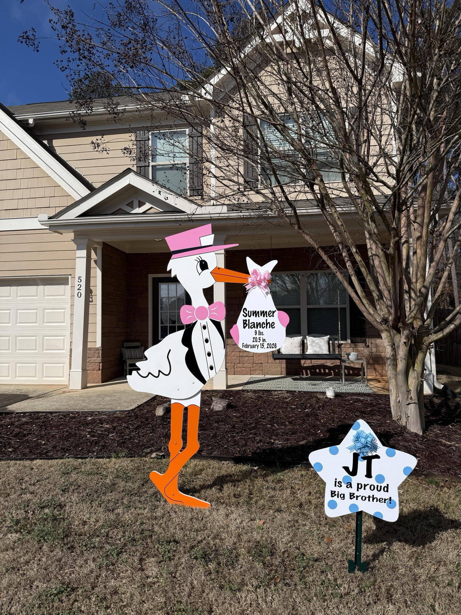 Birth Announcement Stork Sign in Jefferson, GA