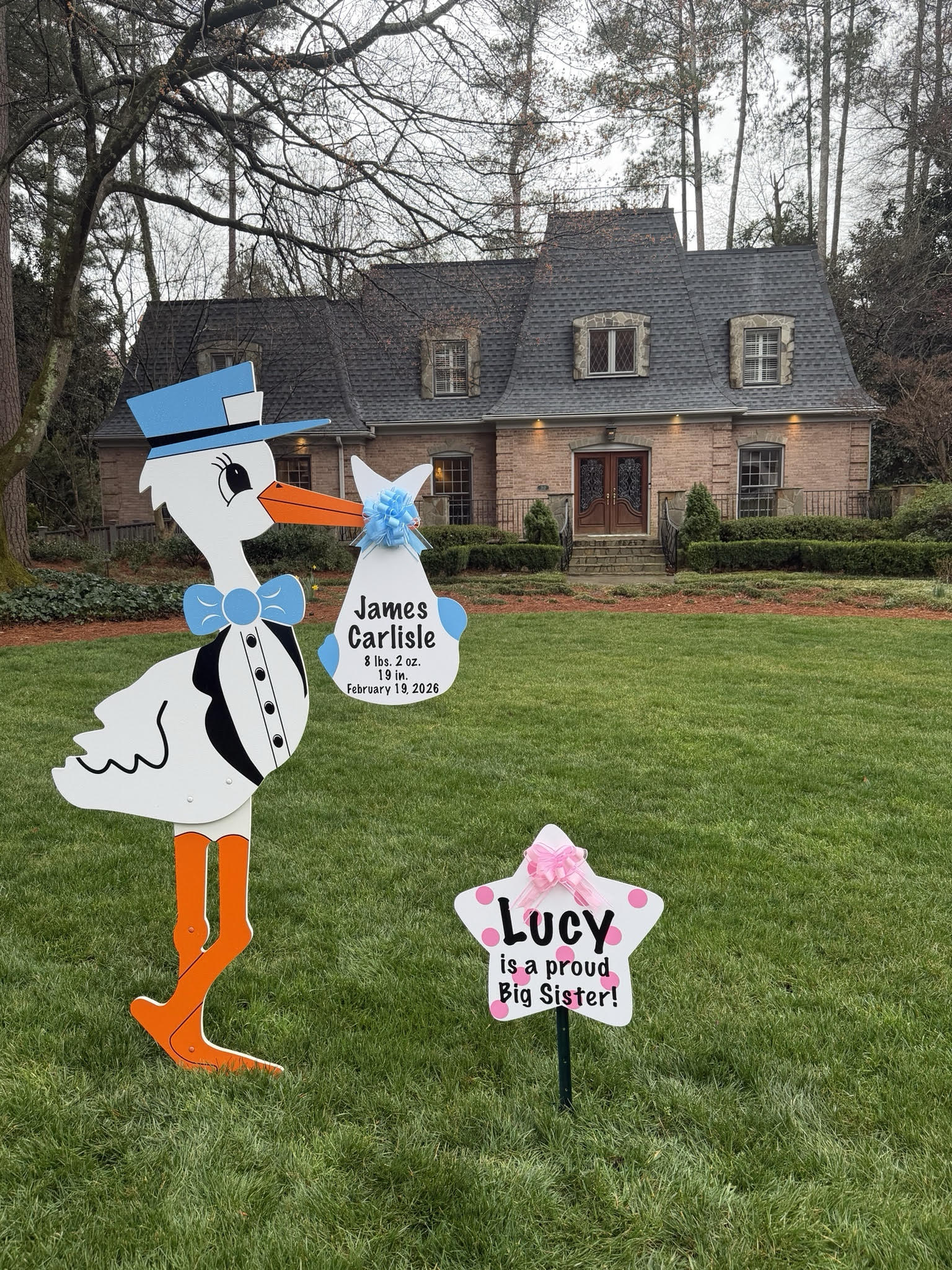 Birth Announcement Stork Sign Rental in Sandy Springs, GA