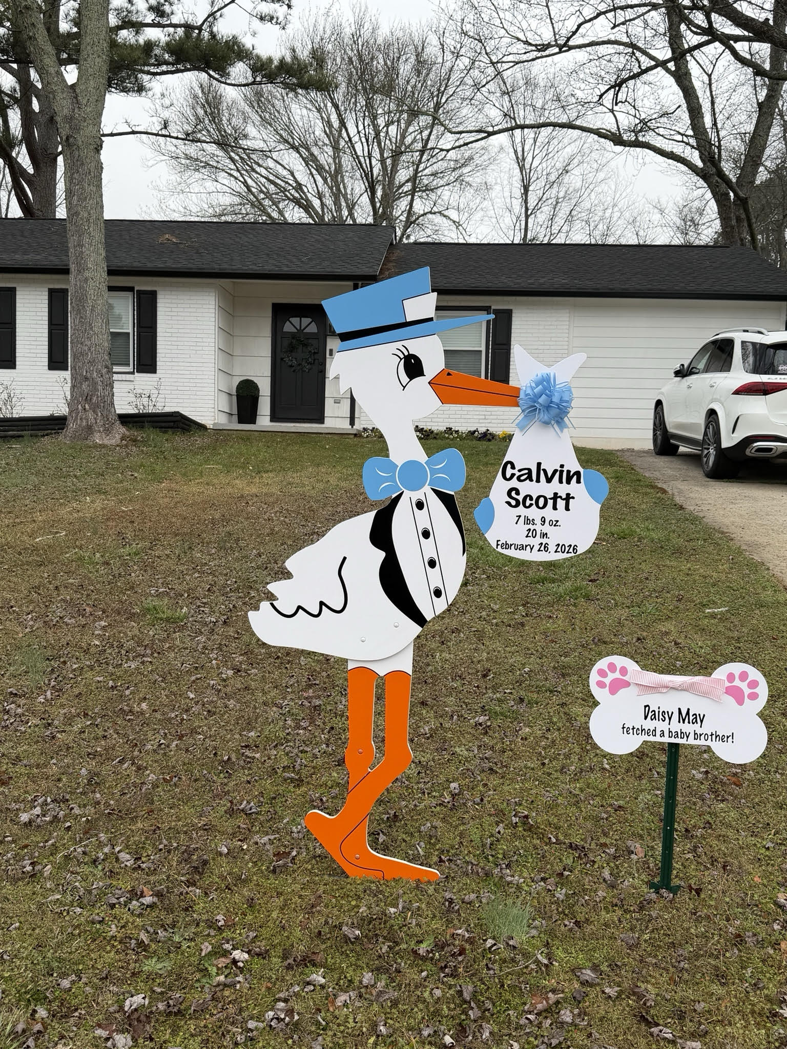 Birth Announcement Stork Sign in Smyrna, GA