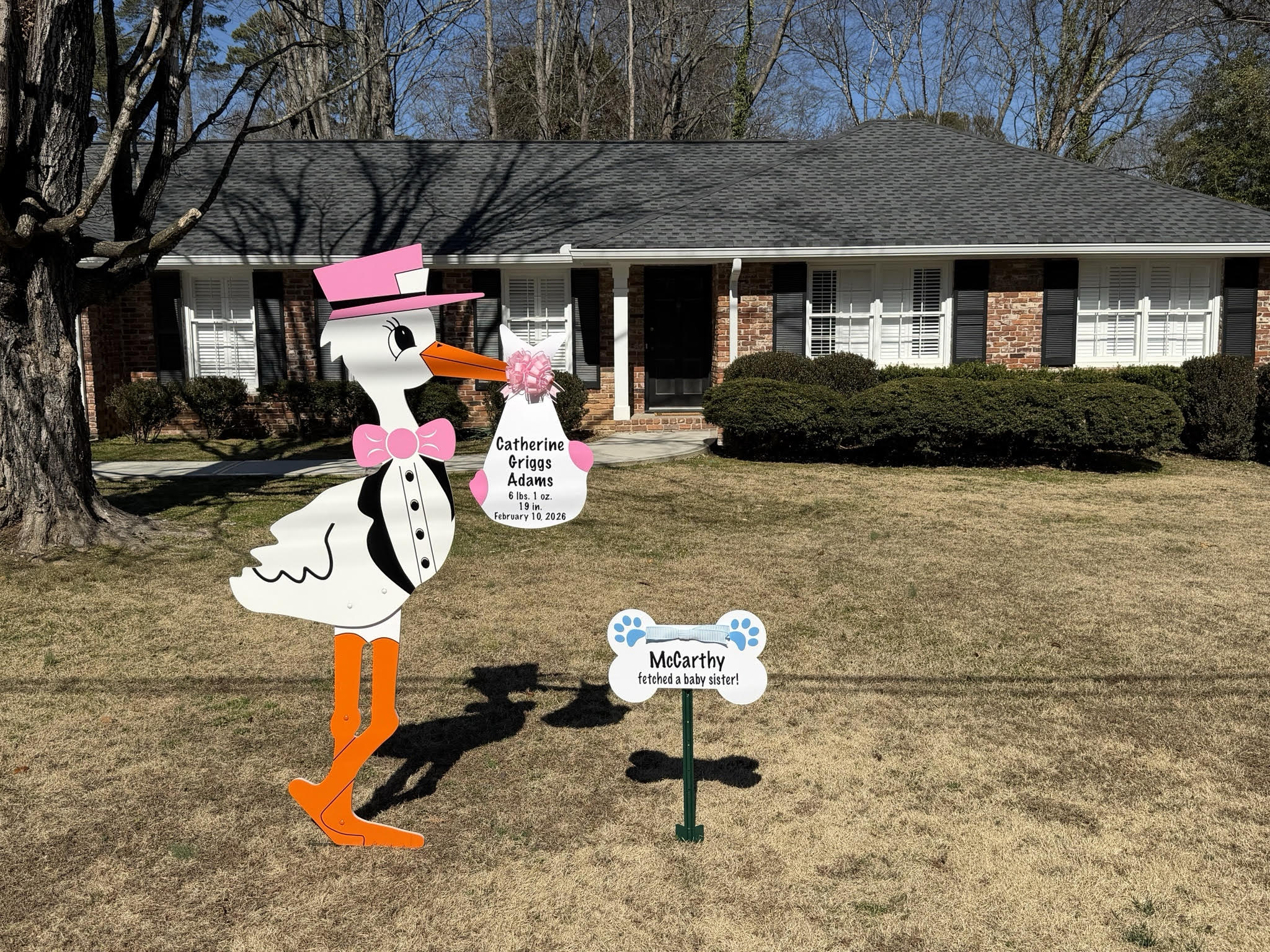 Birth Announcement Stork Sign in Sandy Springs, GA