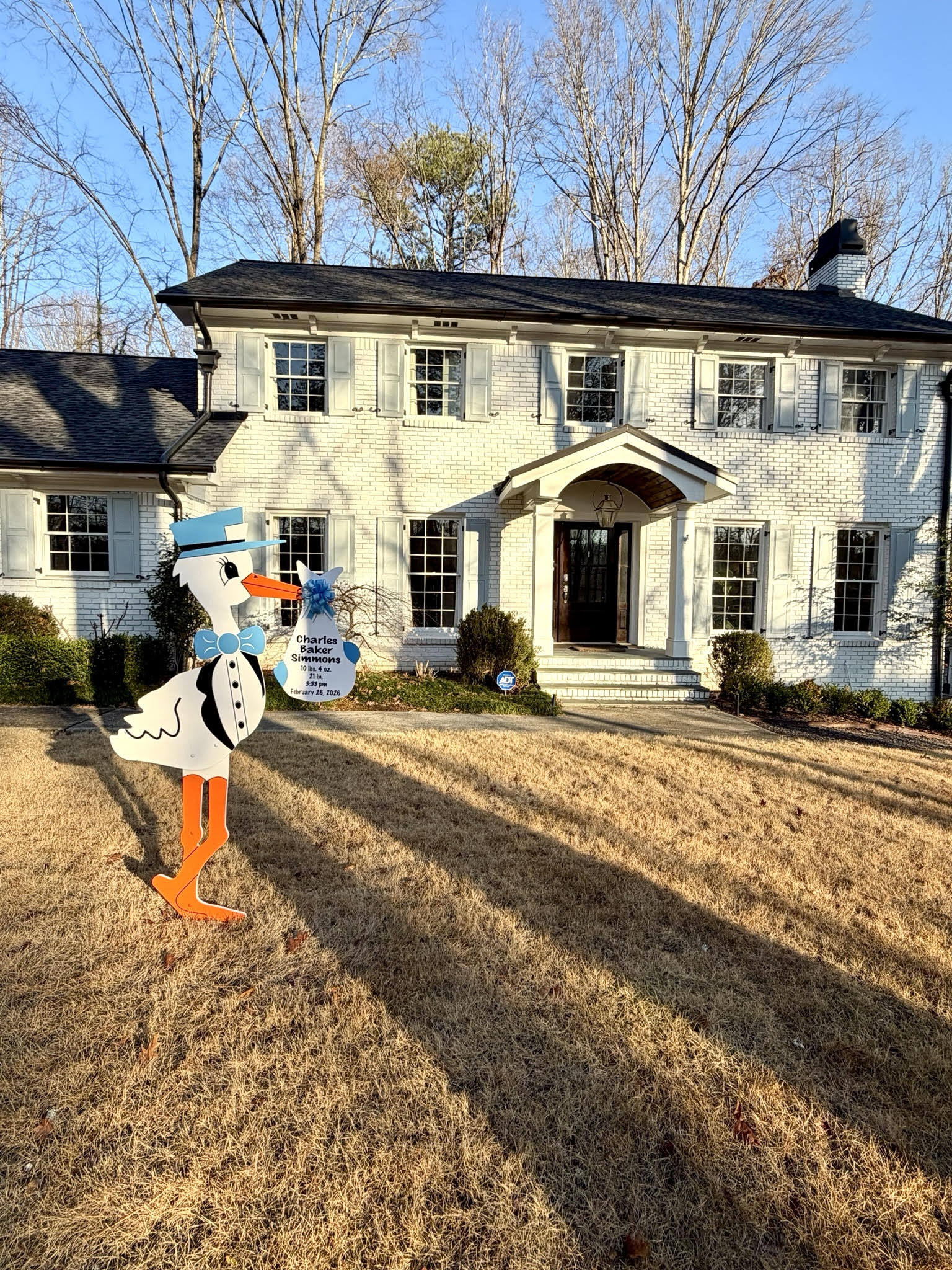 Birth Announcement Stork Rental in Brookhaven, GA