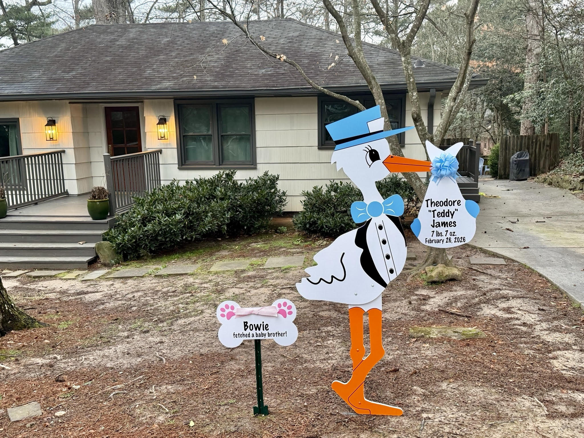 Birth Announcement Stork Sign in North Druid Hills, Atlanta, GA