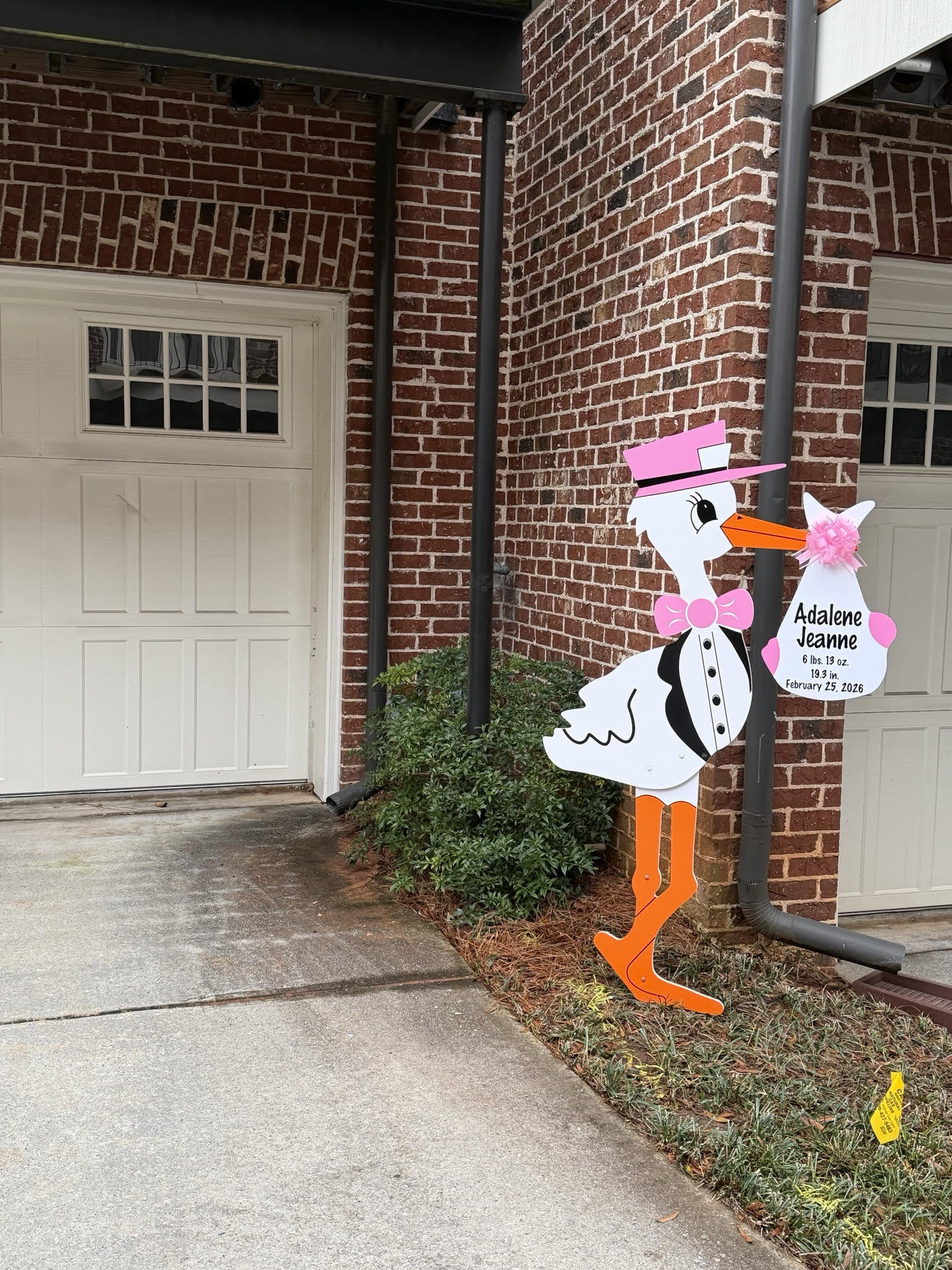 Birth Announcement Stork Rental in Virginia Highlands, Atlanta, GA