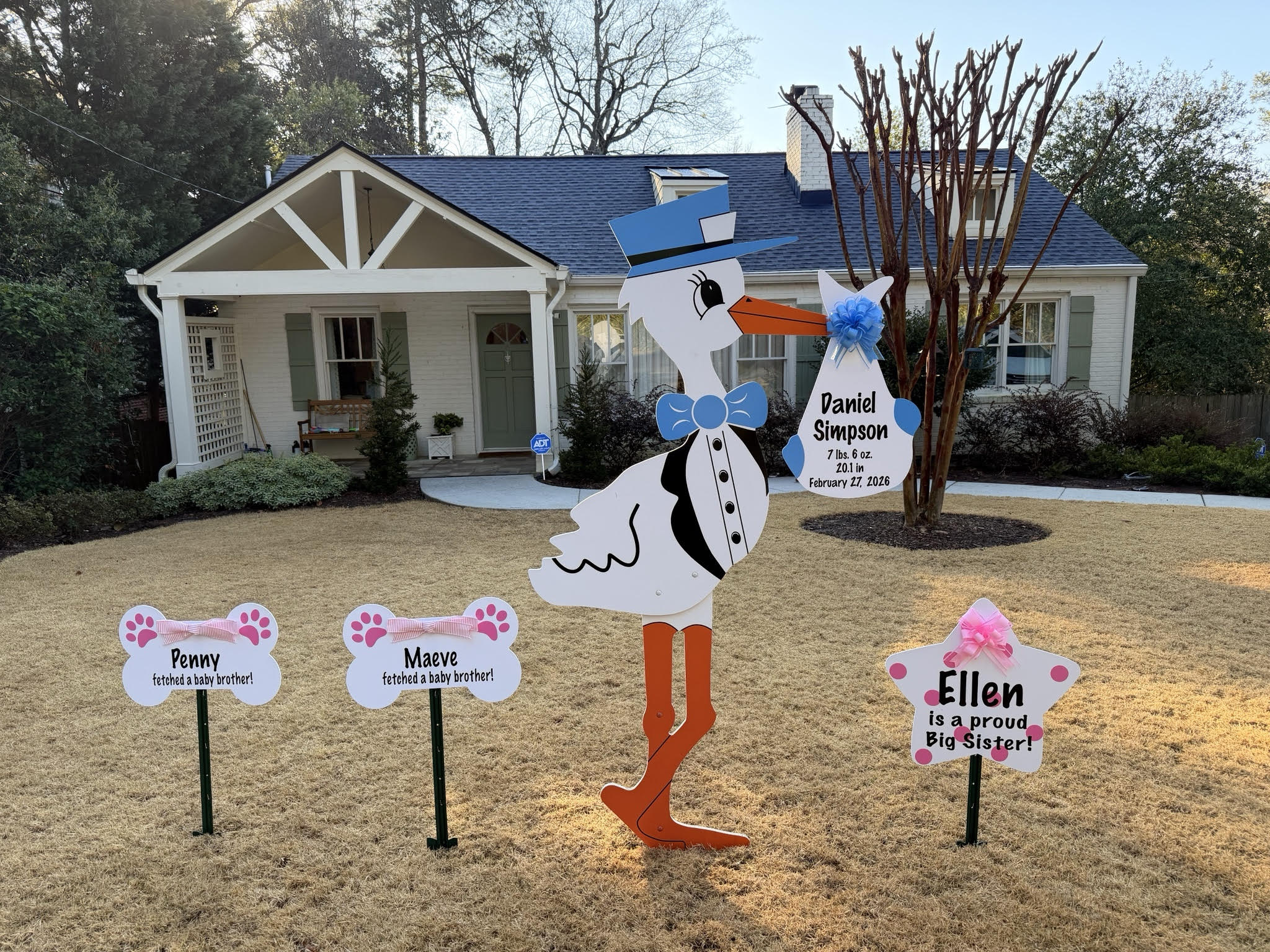 Birth Announcement Stork Rental in Buckhead, Atlanta