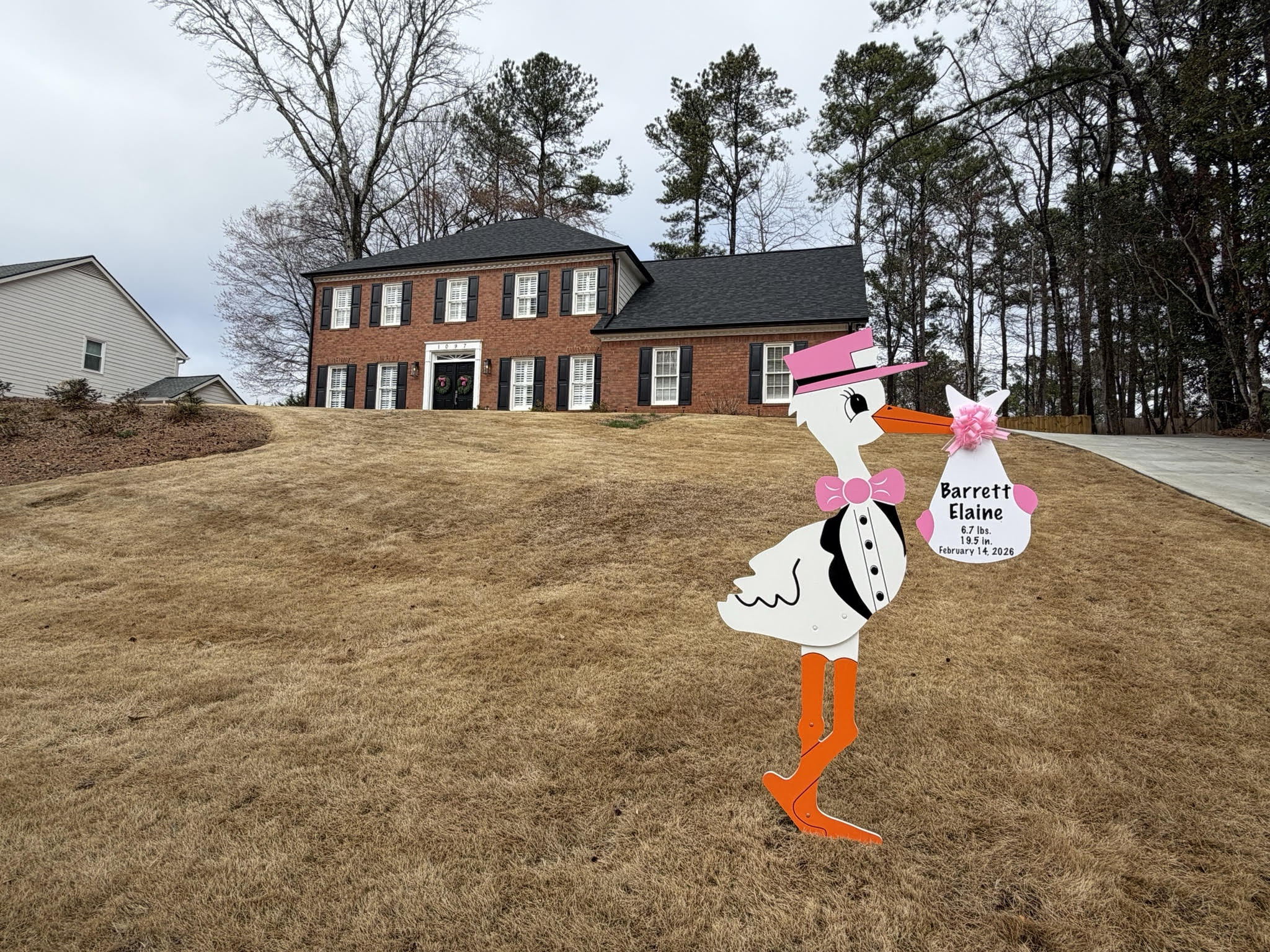 Birth Announcement Stork Sign Rental in Marietta, GA