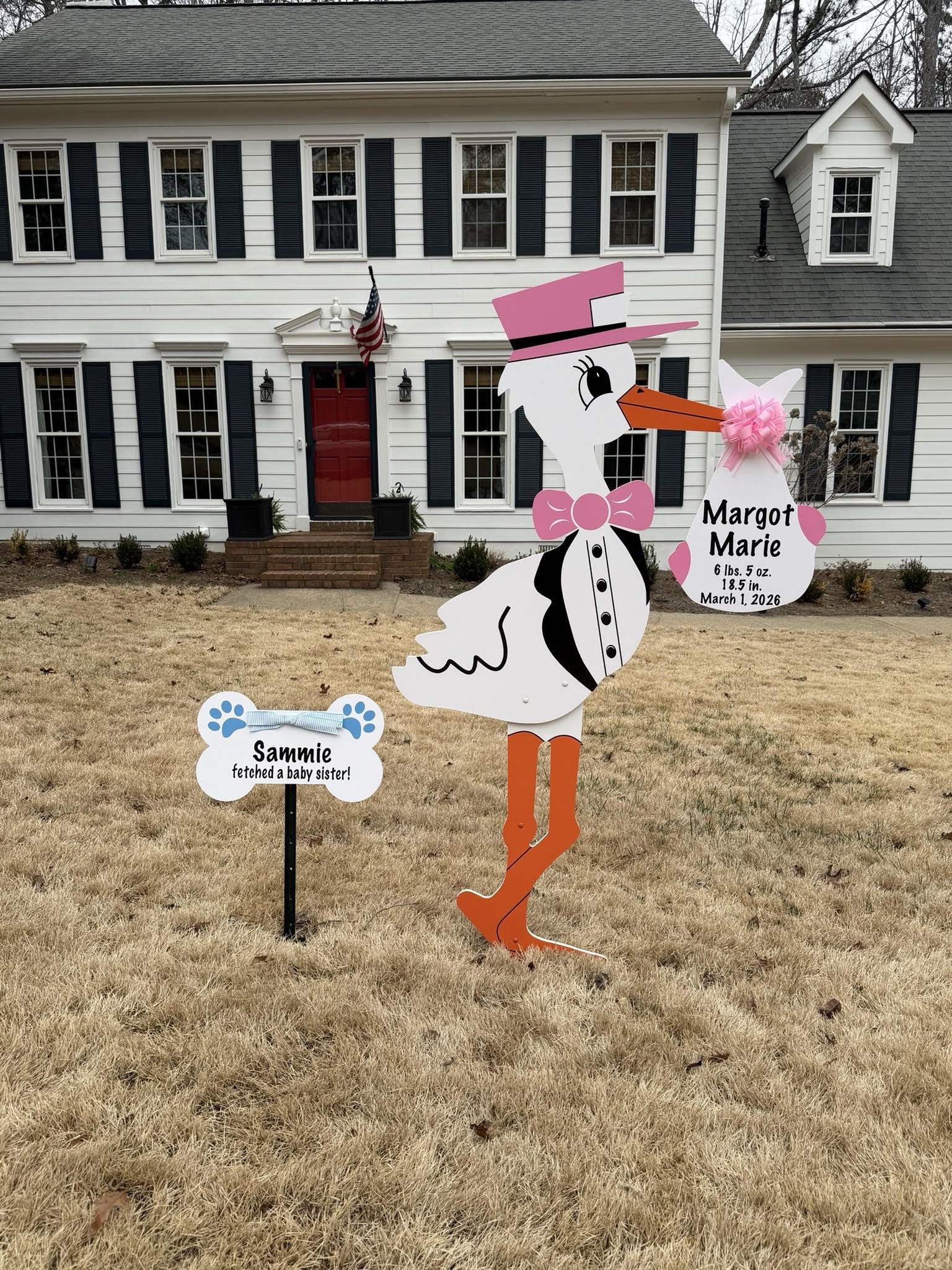 Birth Announcement Stork Rental in Alpharetta, GA