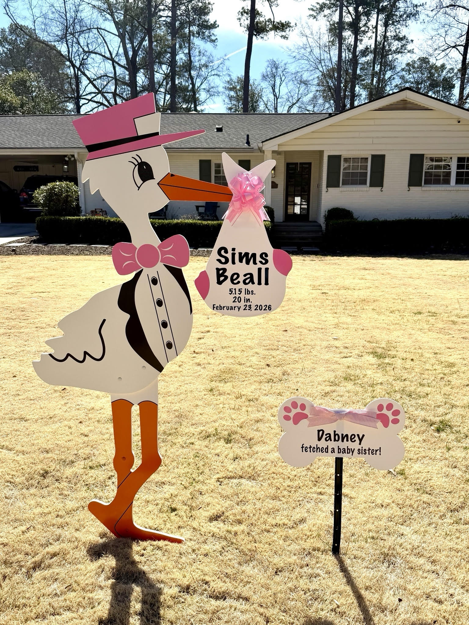 Birth Announcement Stork Sign Rental in Buckhead, Atlanta, GA