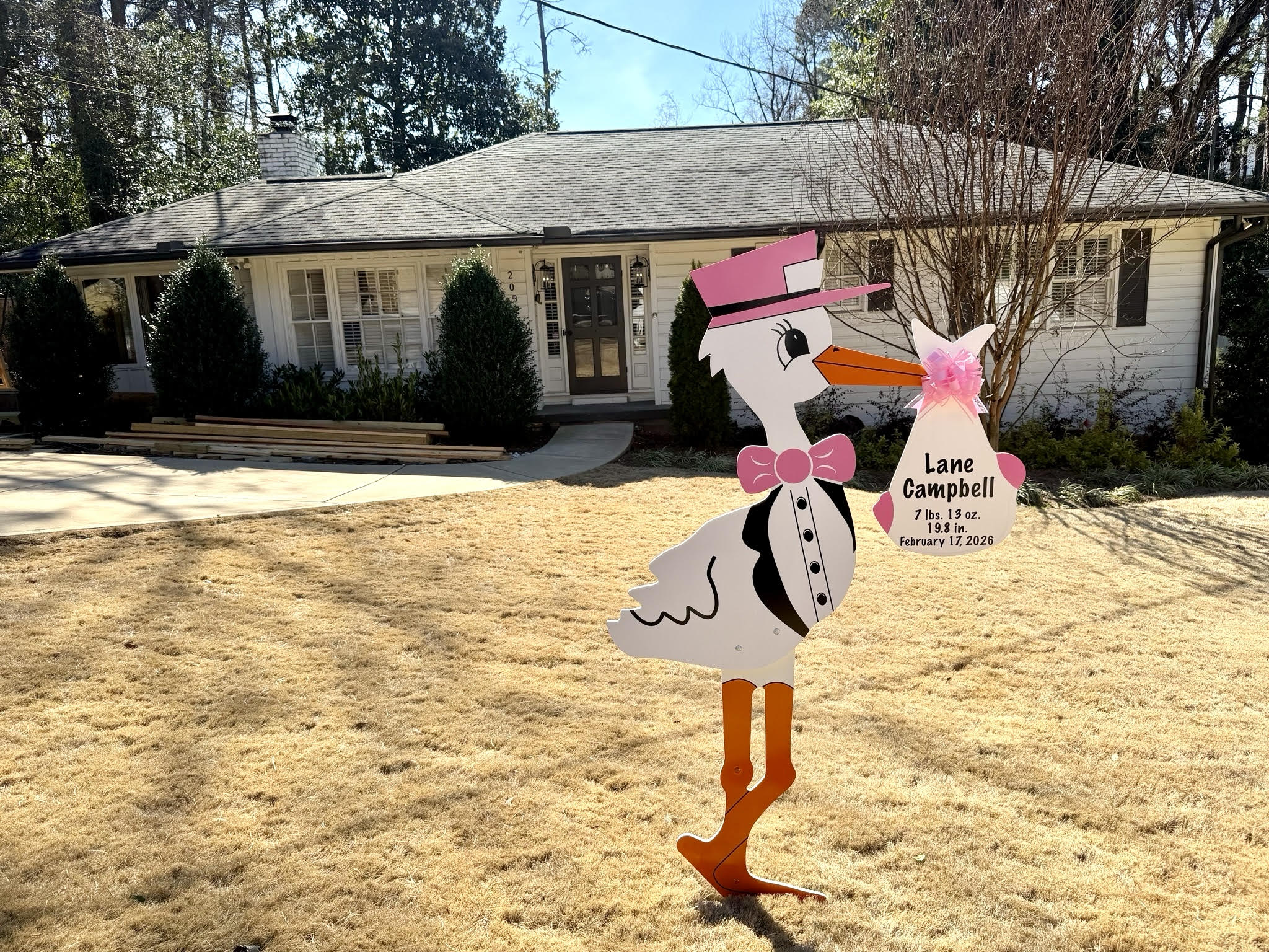 Birth Announcement Stork Rental in Midtown, Atlanta