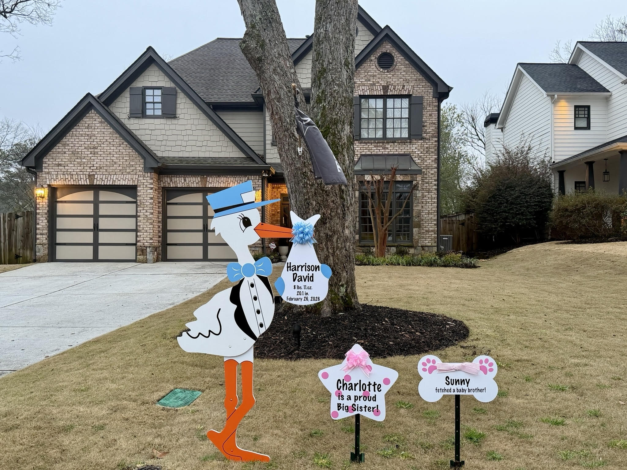 Birth Announcement Stork Sign in Buckhead, Atlanta GA