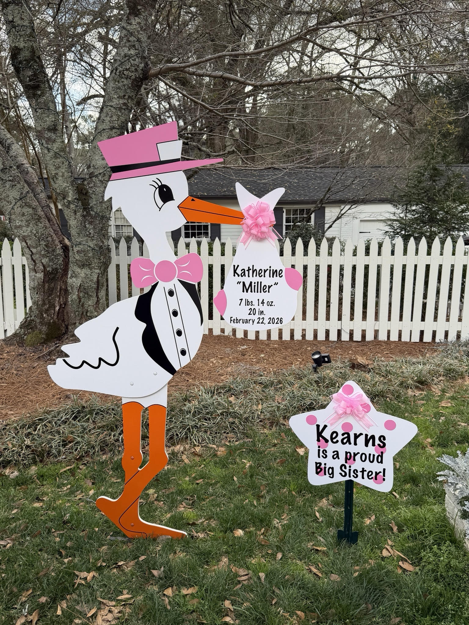 Birth Announcement Stork Sign Rental in Midtown, Atlanta