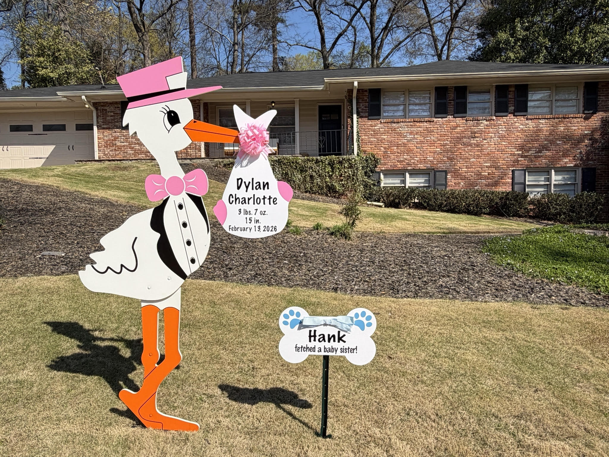 Birth Announcement Stork Sign in Buckhead, Atlanta