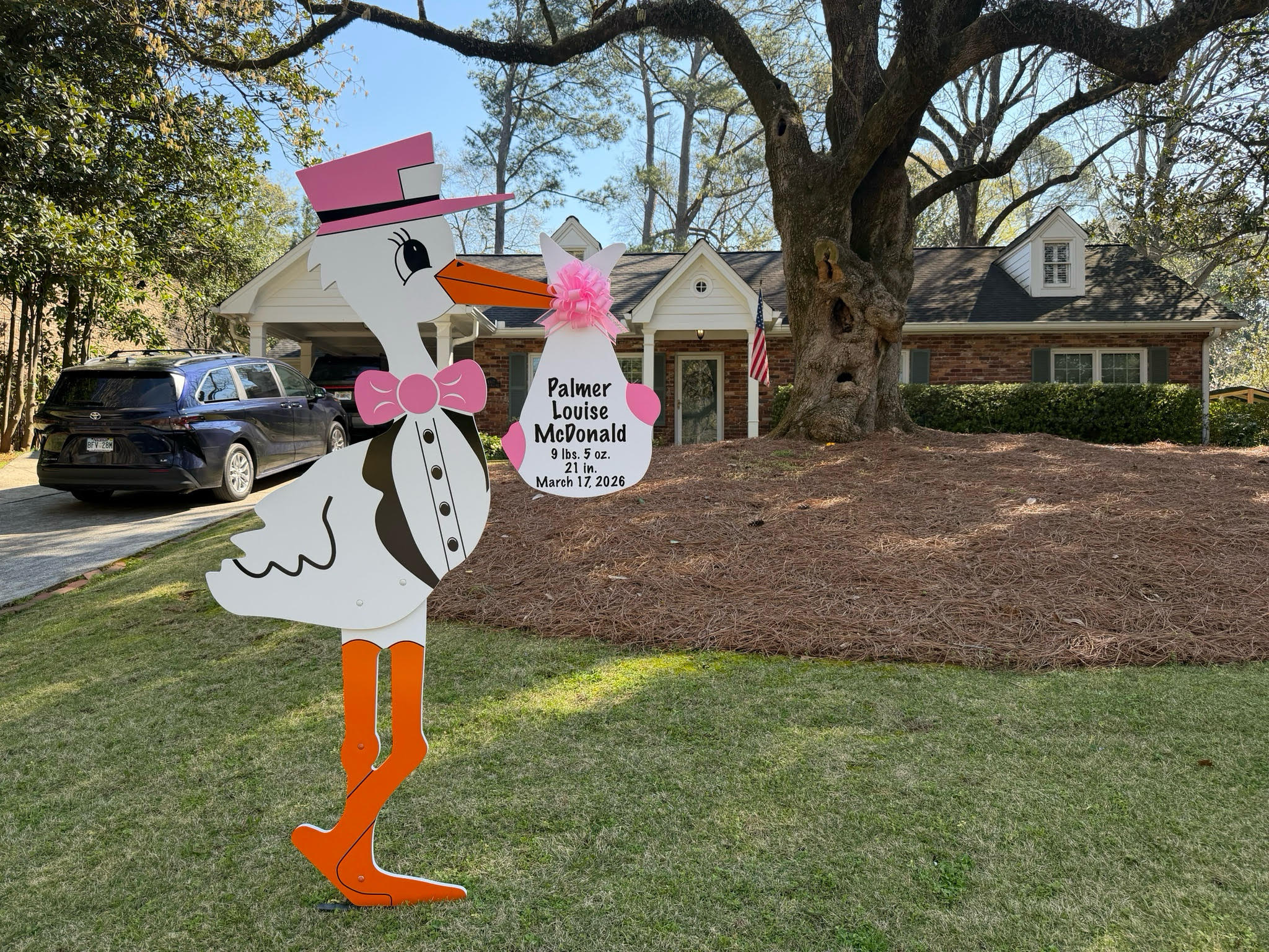 Birth Announcement Stork Sign in Sandy Springs, GA