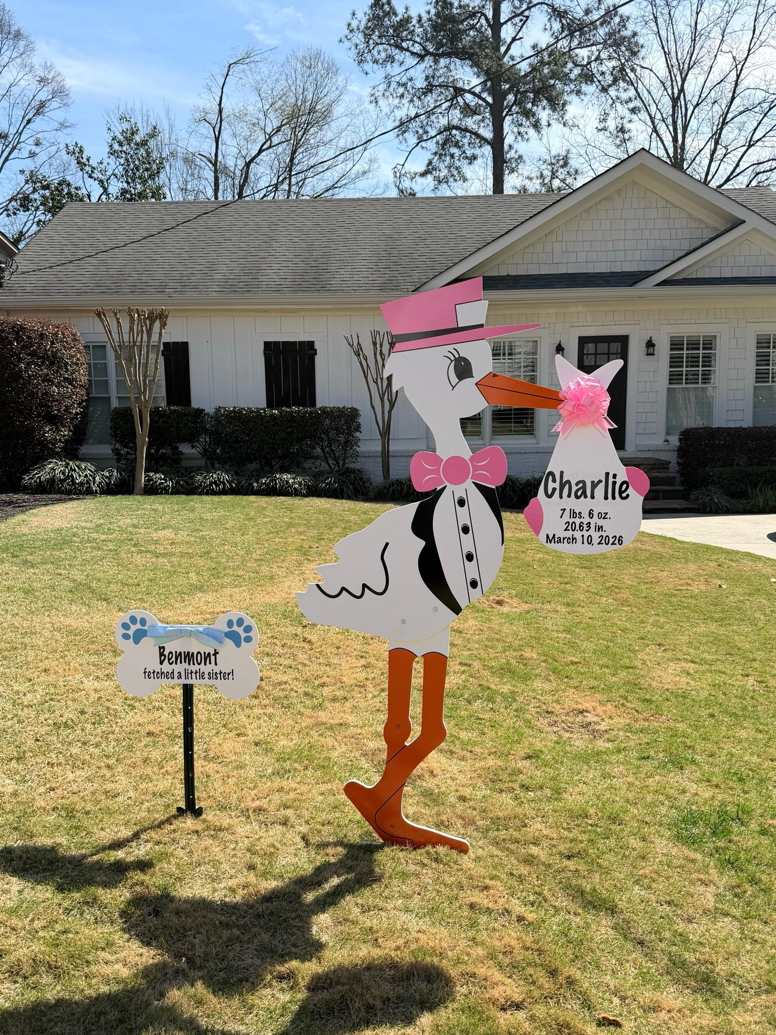 Birth Announcement Stork Sign in Brookhaven, GA