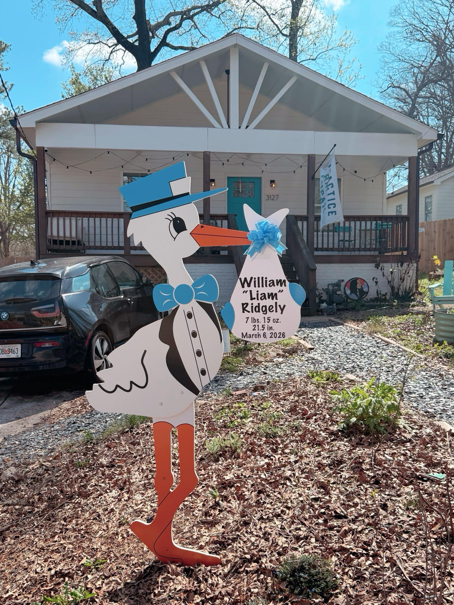 Birth Announcement Stork Sign in Decatur, GA