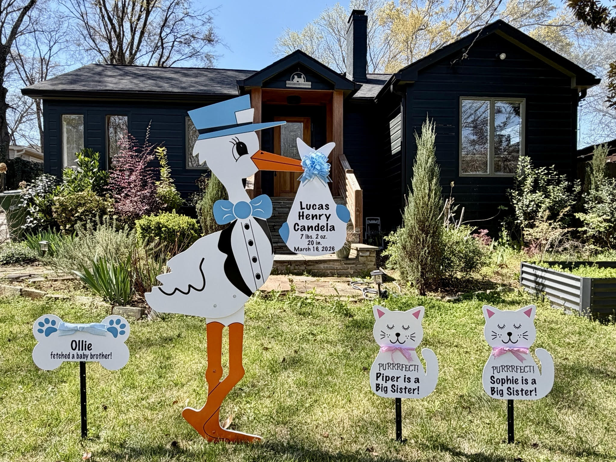 Birth Announcement Stork Sign in Midtown, Atlanta