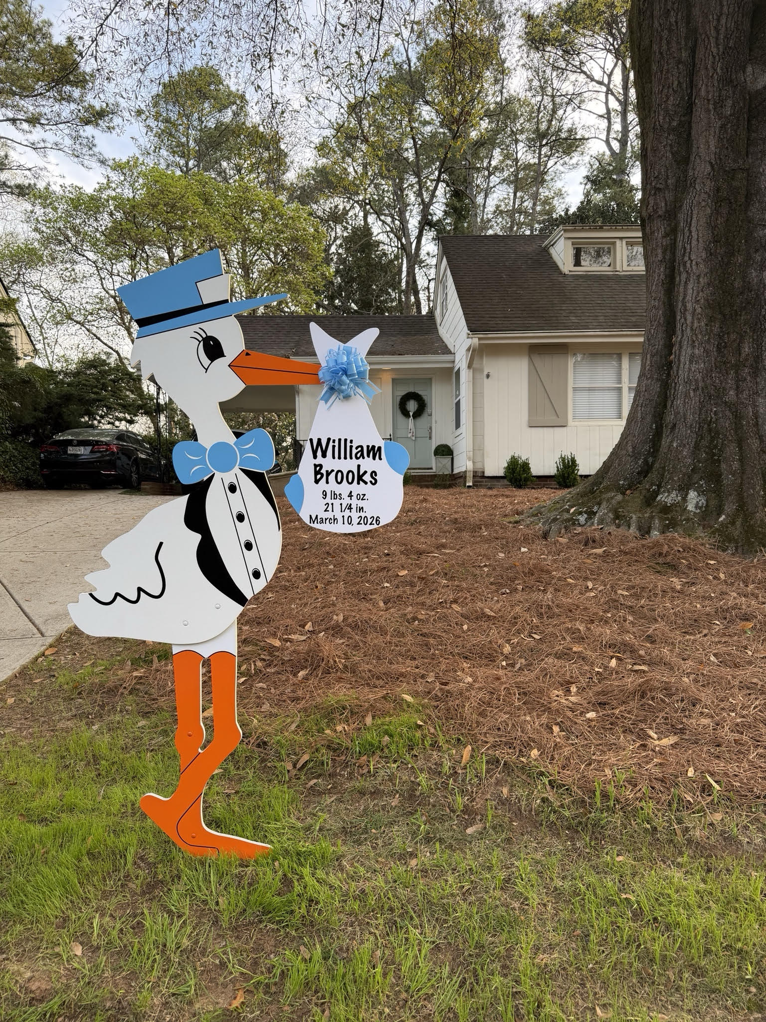 Birth Announcement Stork Sign in Midtown, Atlanta