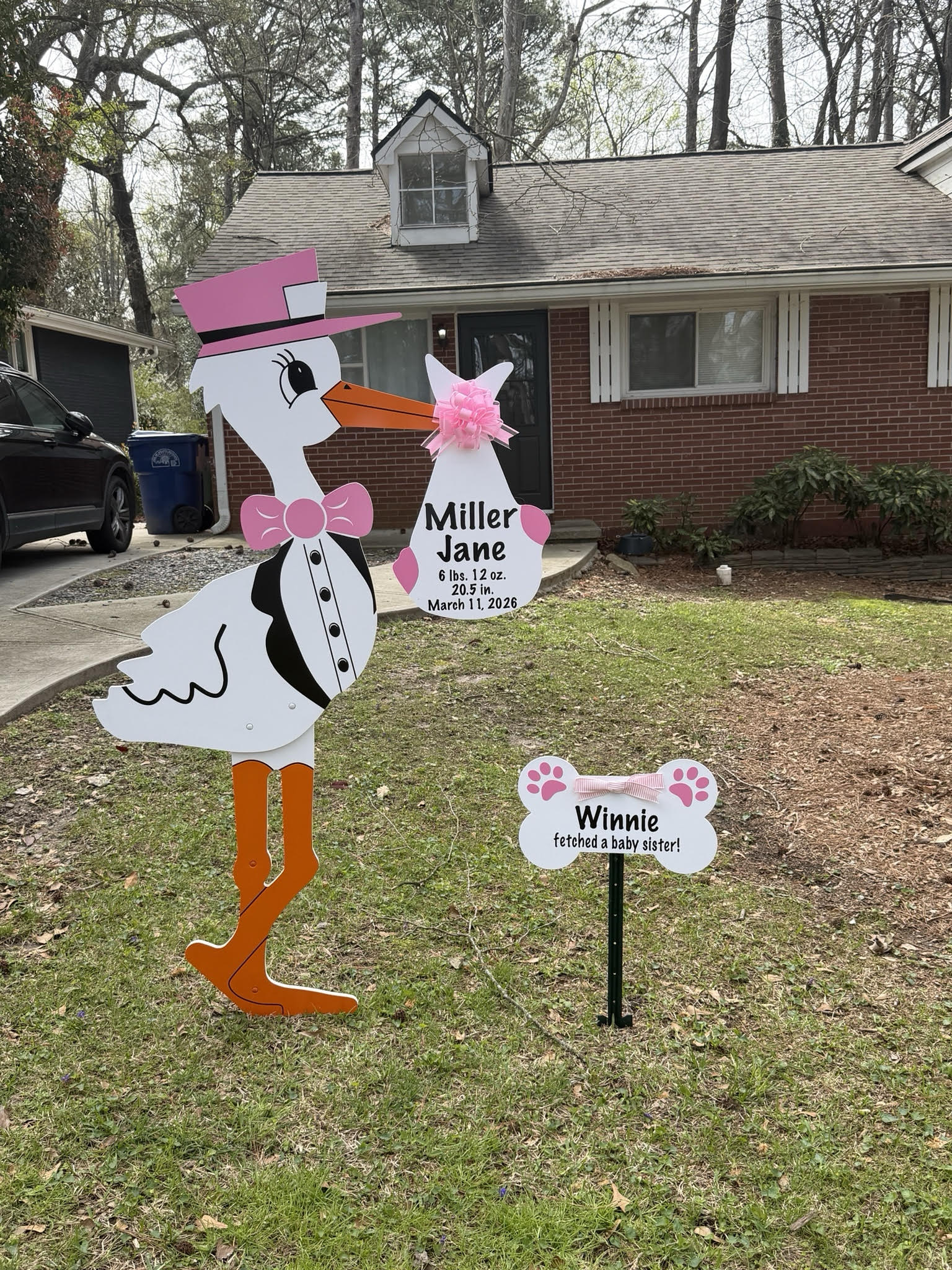 Birth Announcement Stork Sign in Buckhead, Atlanta