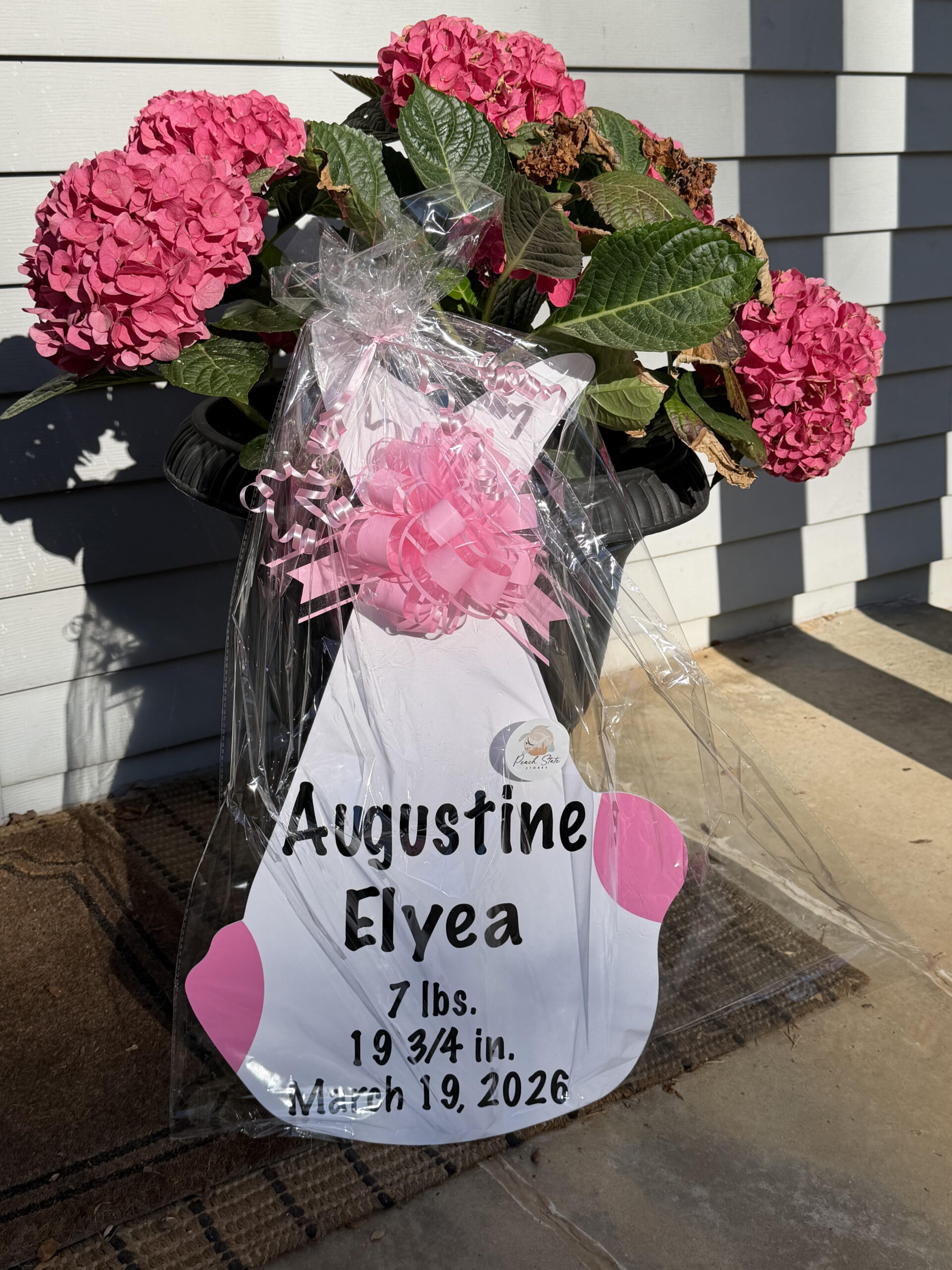 Birth Announcement Stork Sign in Alpharetta, GA