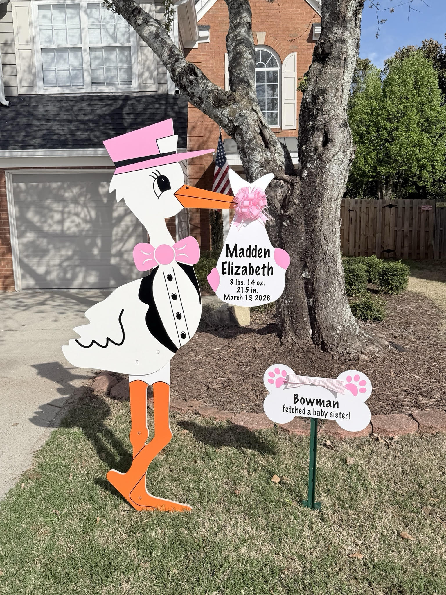 Birth Announcement Stork Sign in Roswell, GA