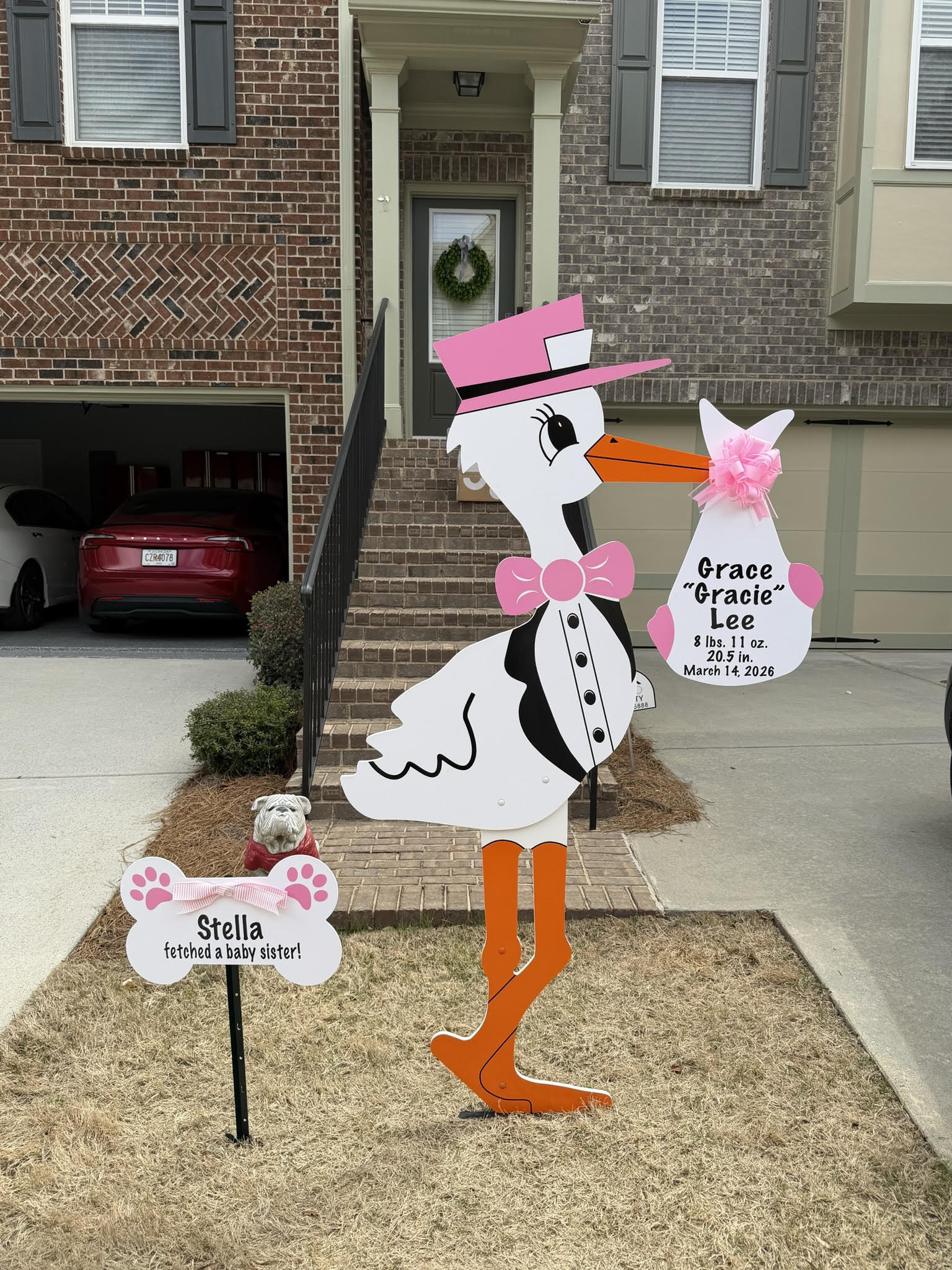 Birth Announcement Stork Sign in Brookhaven, Atlanta