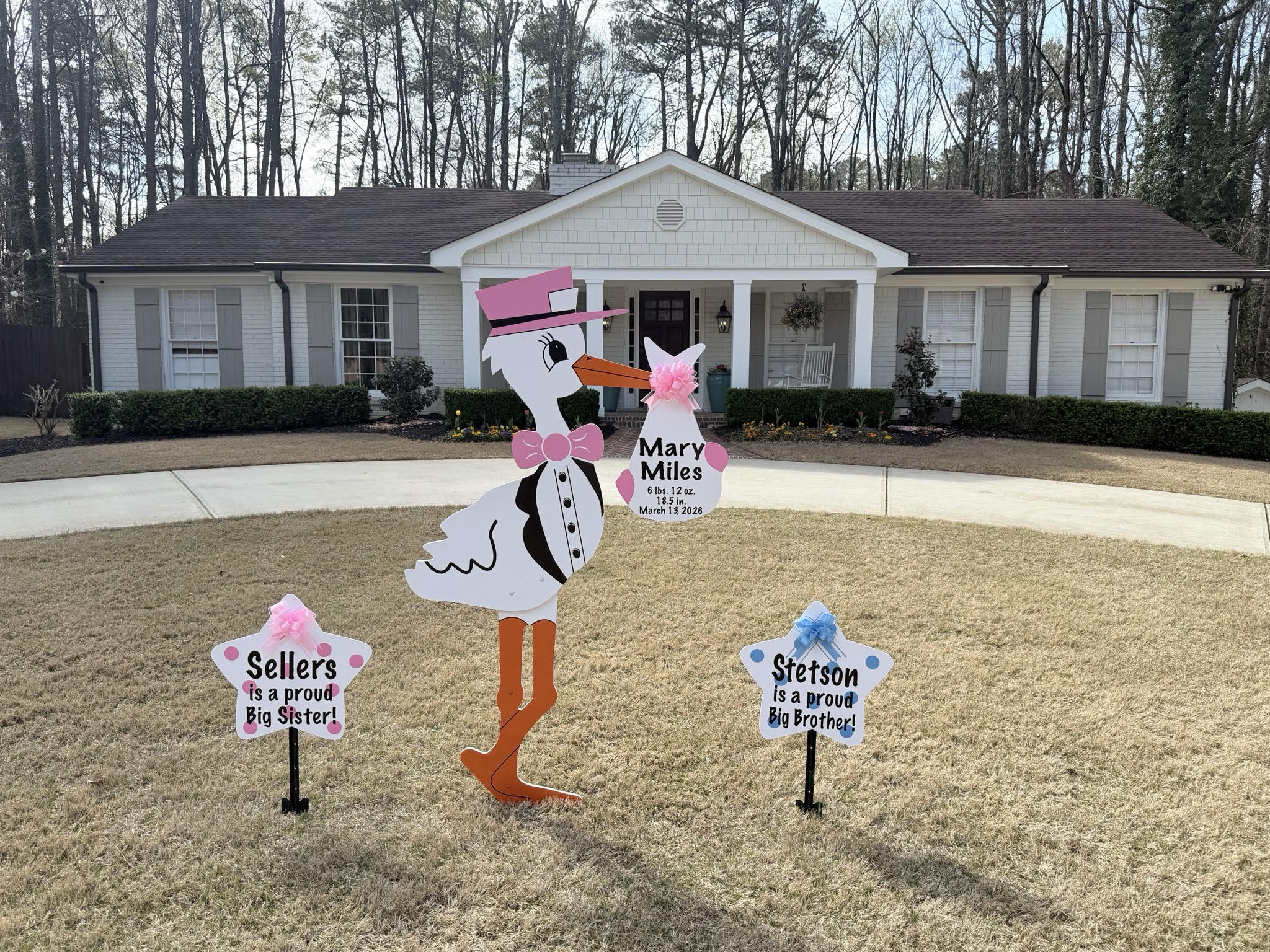 Birth Announcement Stork Sign in Marietta, GA