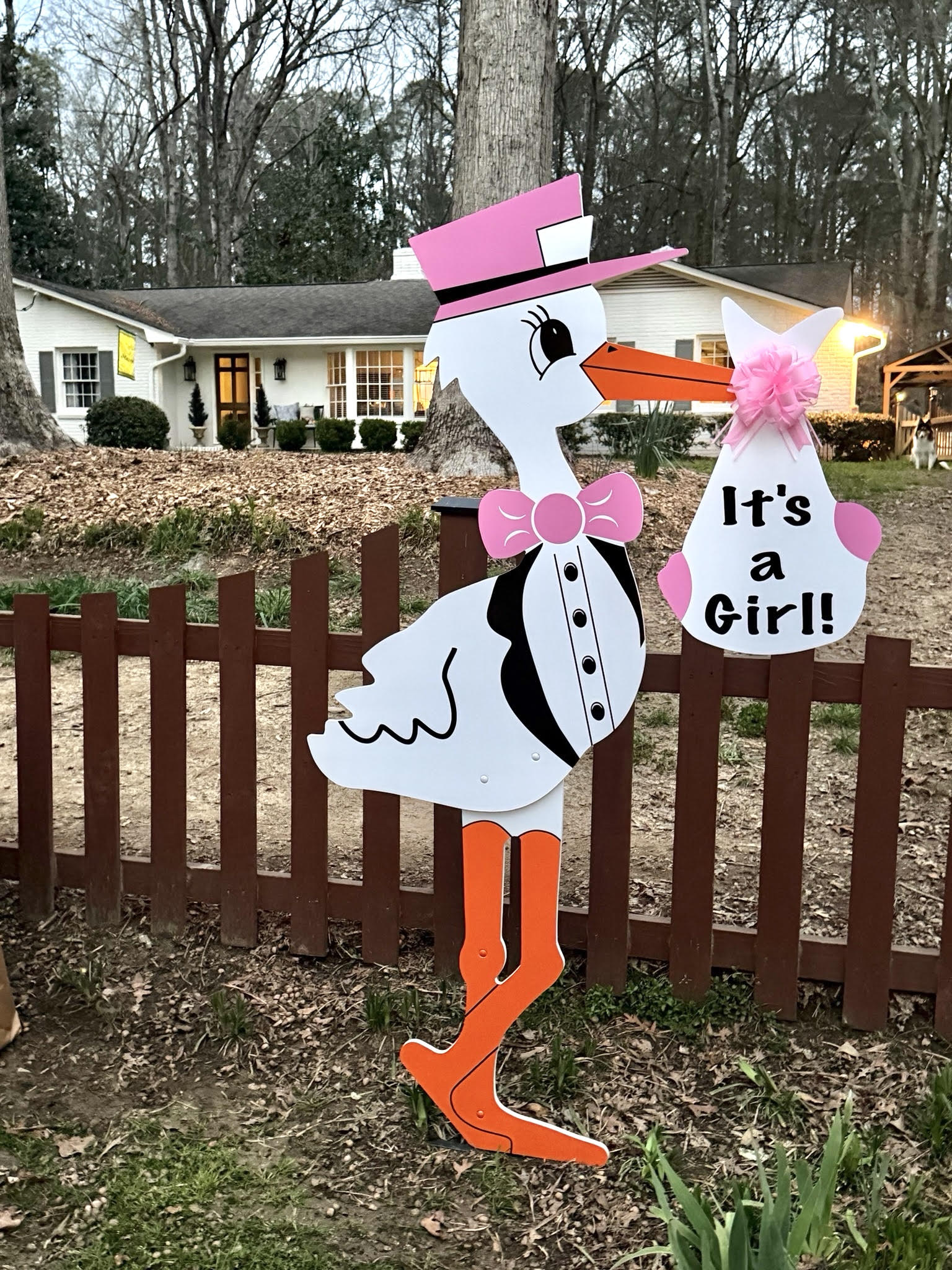 Birth Announcement Stork Sign in Alpharetta, GA