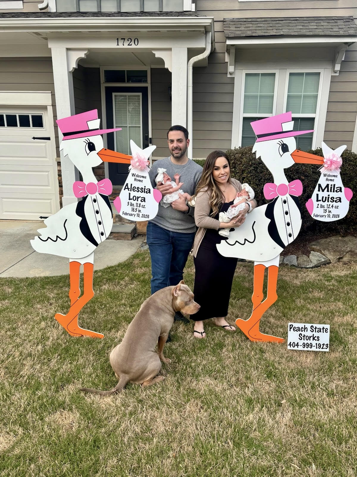 Birth Announcement Twin Stork Signs in Sugar Hill, GA